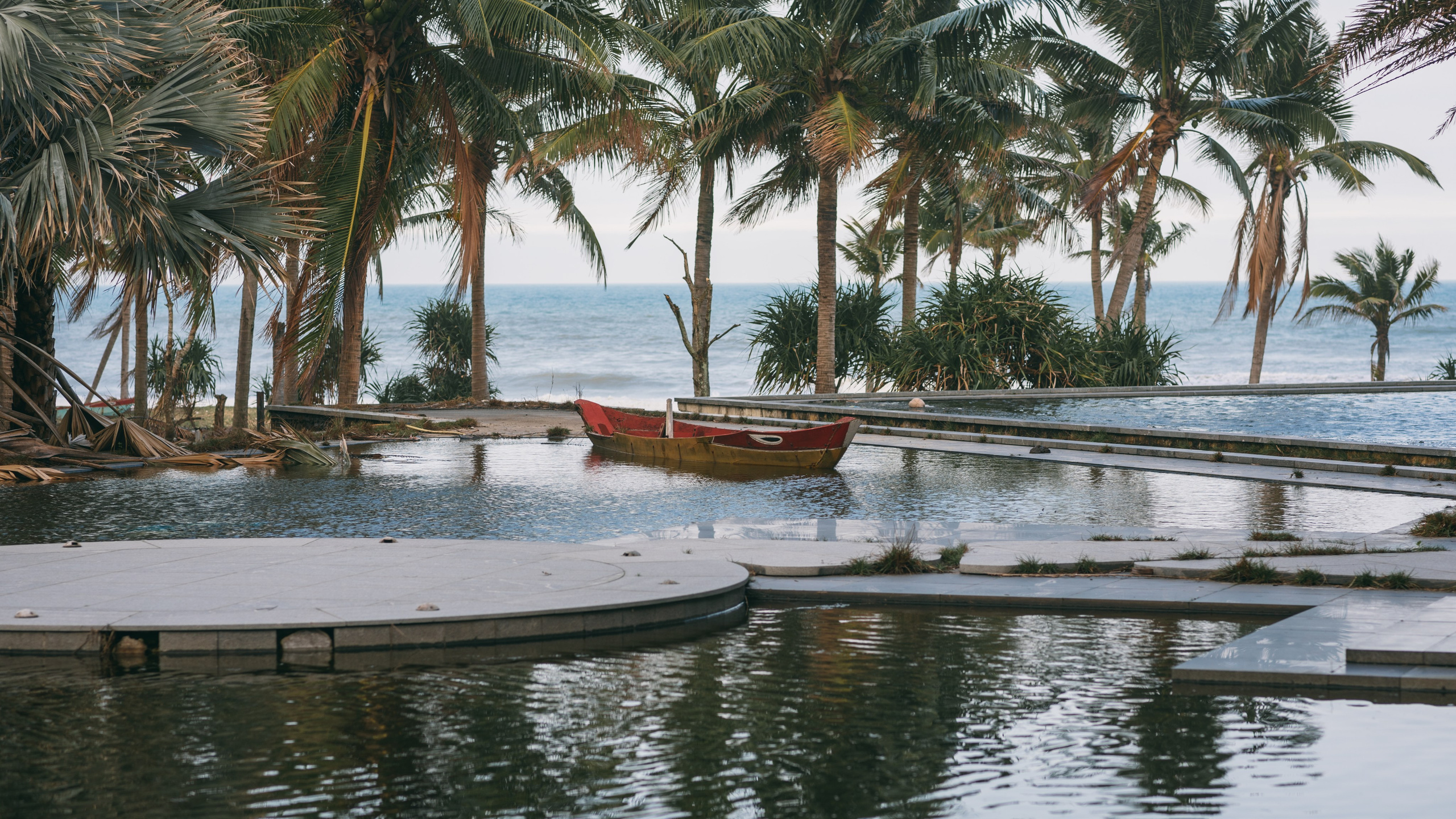 Other. Orunek photo (portrait photographer in Da Nang)
