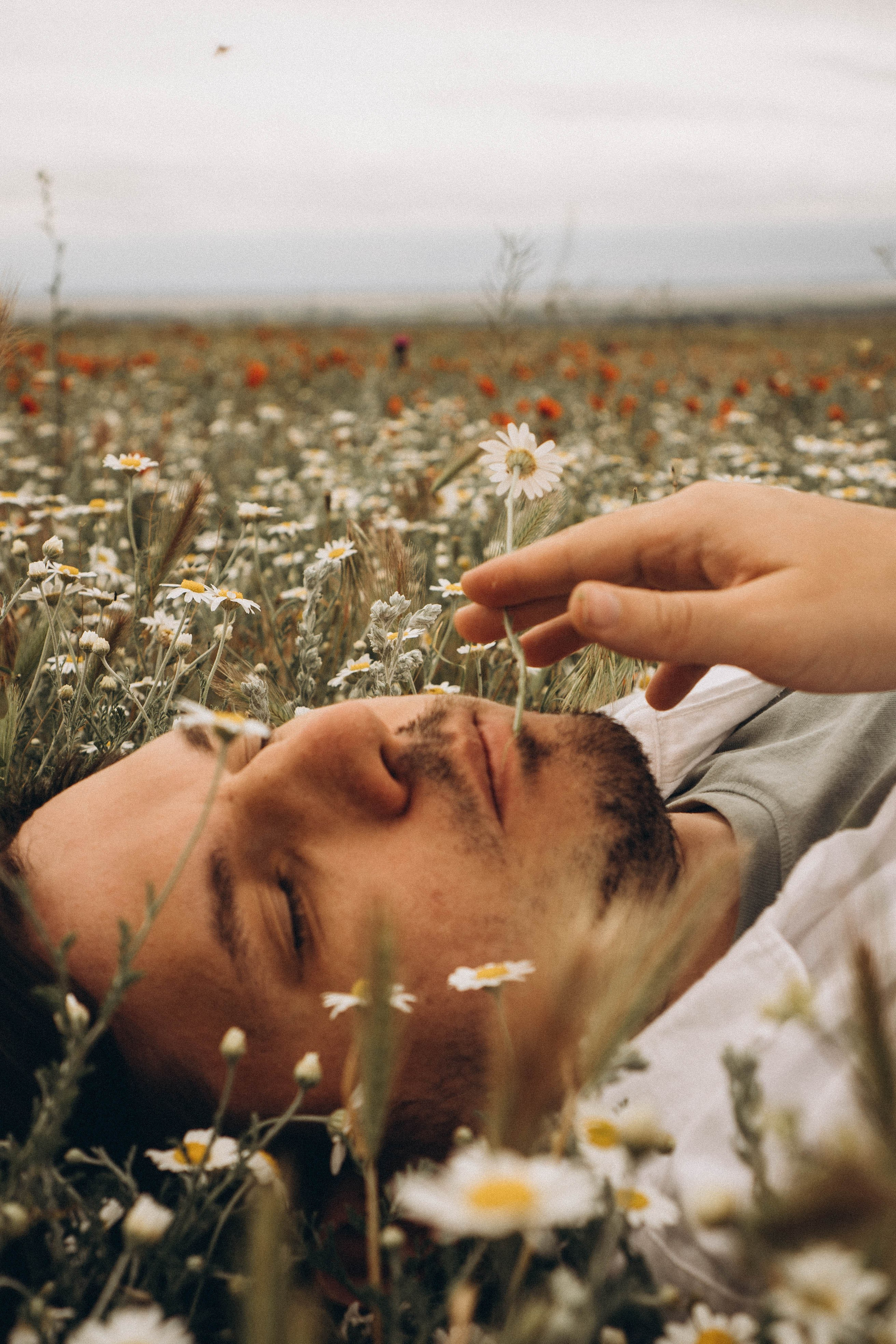 Маки. Профессиональный фотограф, Санкт-Петербург — Виктория Богомолова