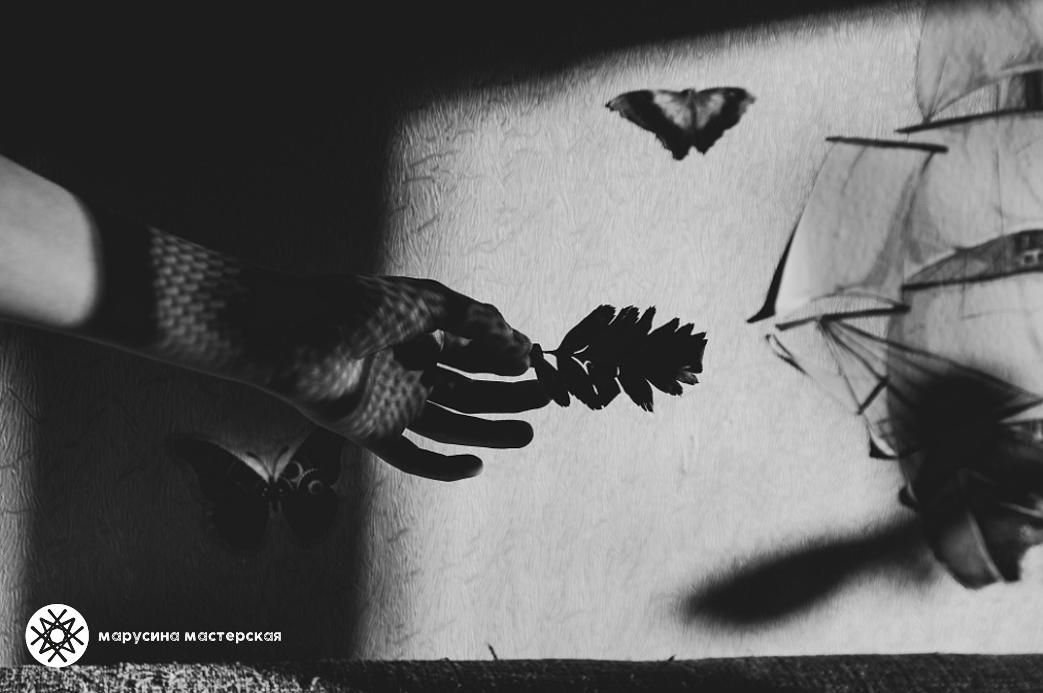 Творческая фотография, снятая в рамках зимней творческой практики, автор — Елена Фомина