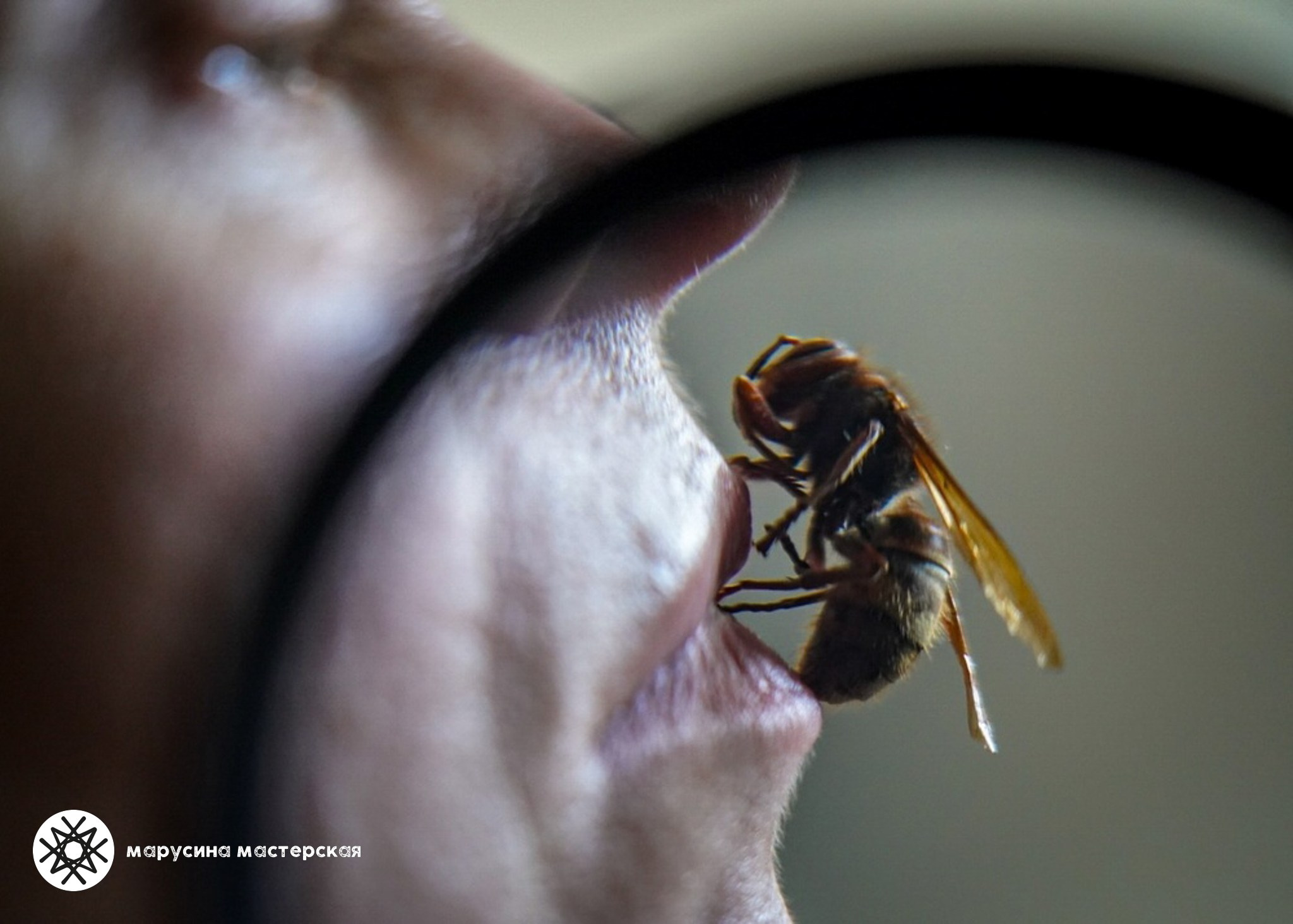 Ирина Тишер