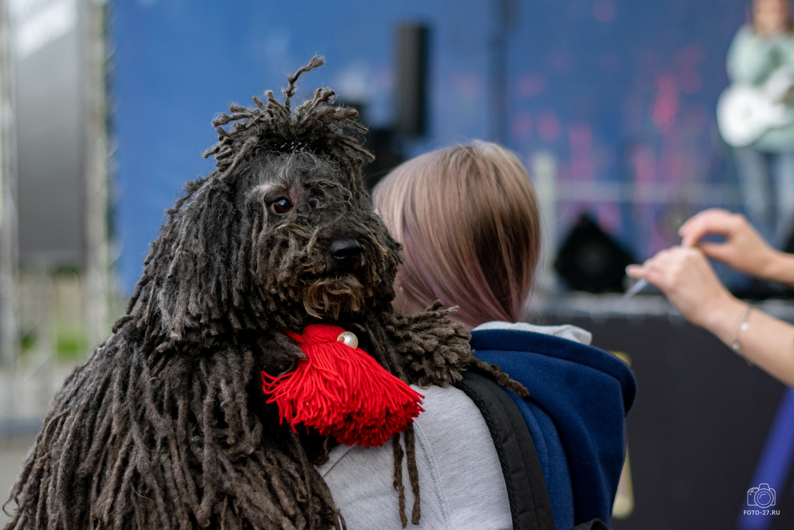 Антон Курдюмов фотограф в Хабаровске Рина Курдюмова фото27 foto27 Антон Дорофеев репортажный репортаж документалист Тони и Рина фотосоздатели Международный фестиваль Рок в защиту животных Хабаровск
