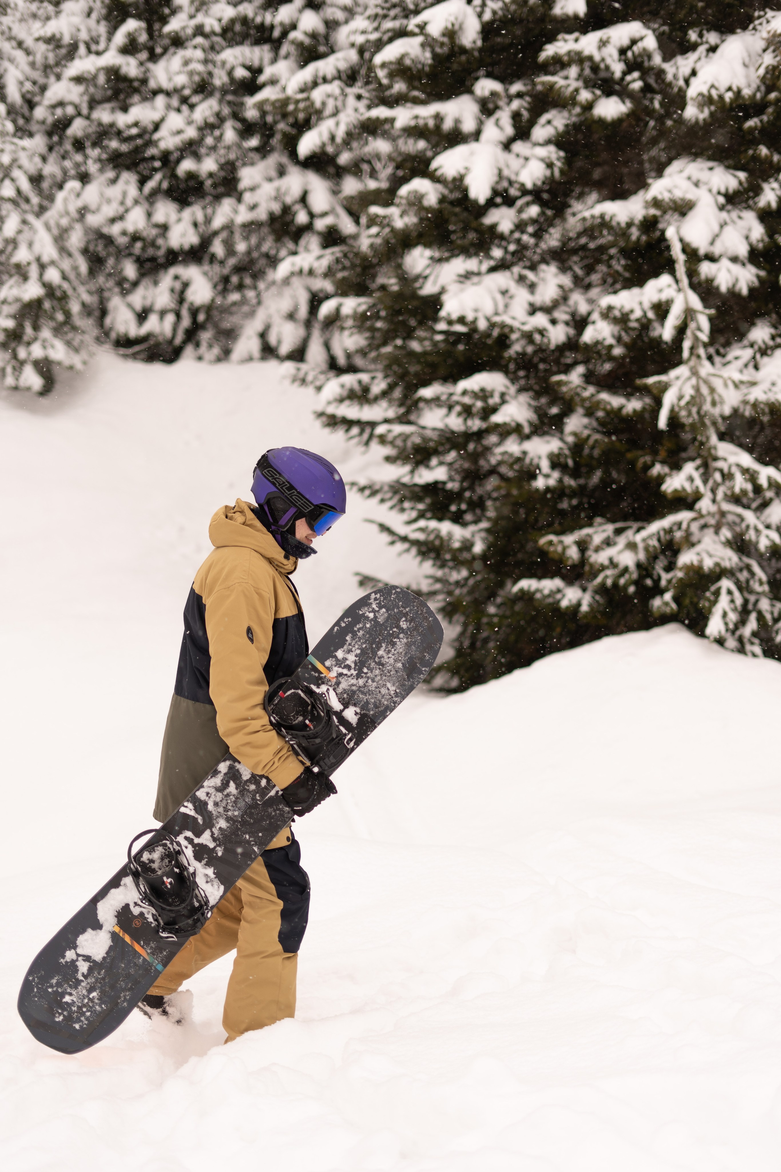 Джой 21.03.24. Анастасия Паршукова — фотограф Шерегеш Новосибирск