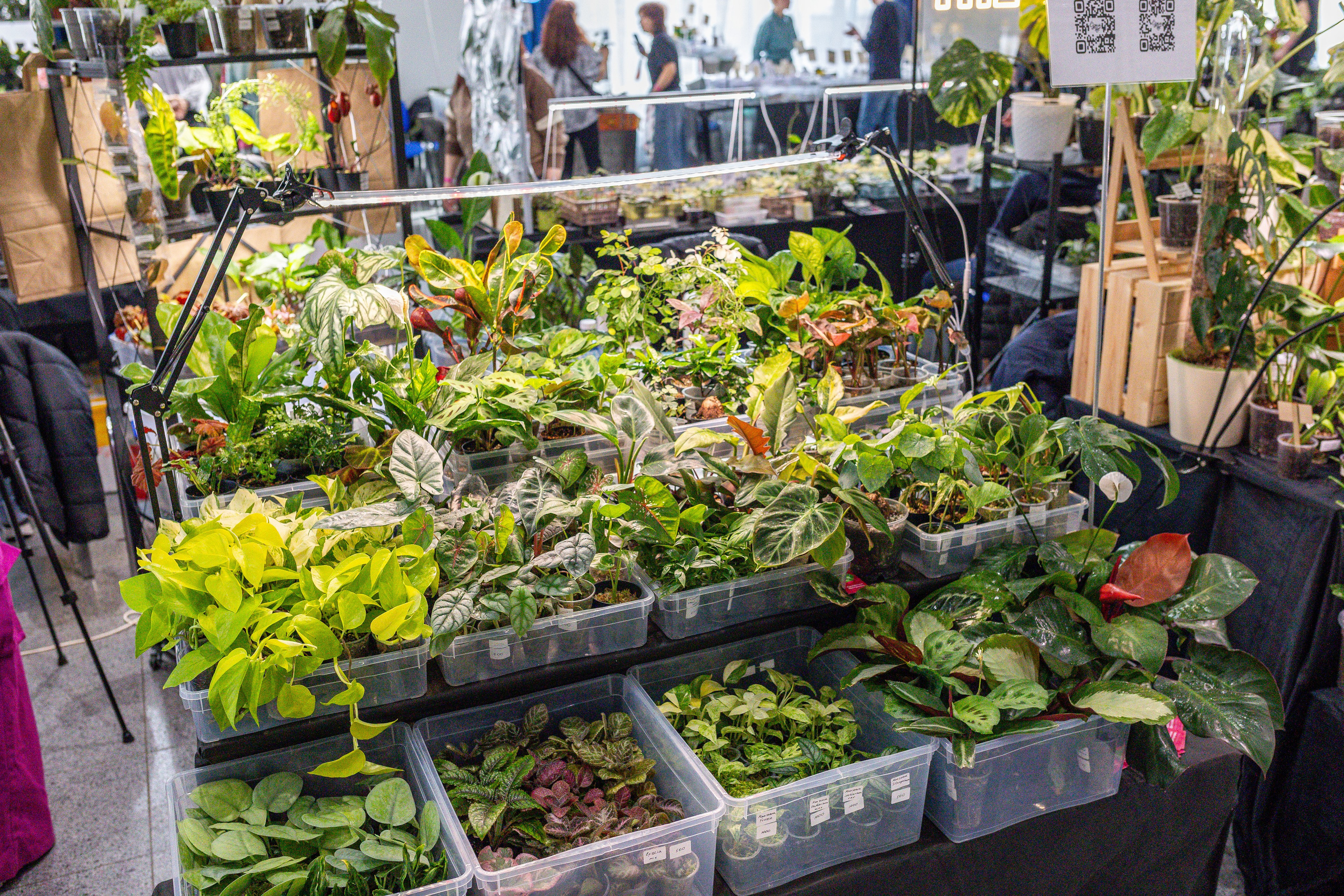 Монстериум апрель 2025. Александра Куликова фотограф, Москва