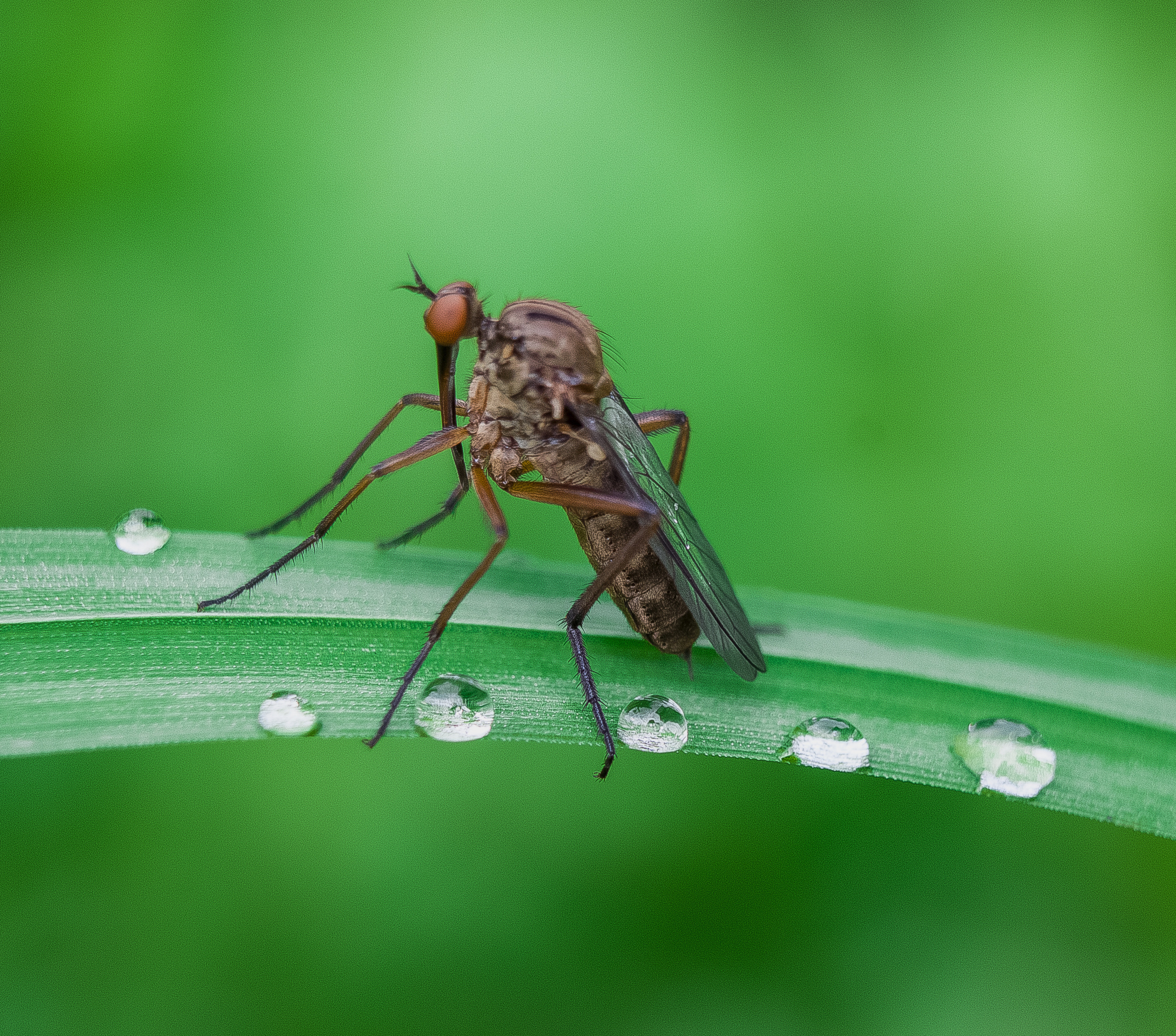 Макро. Обо всём