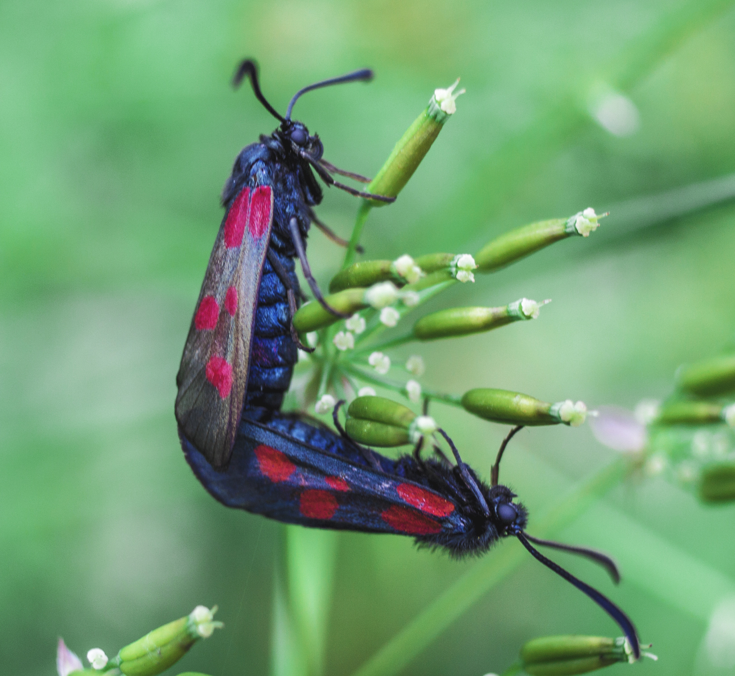 Макро. Обо всём