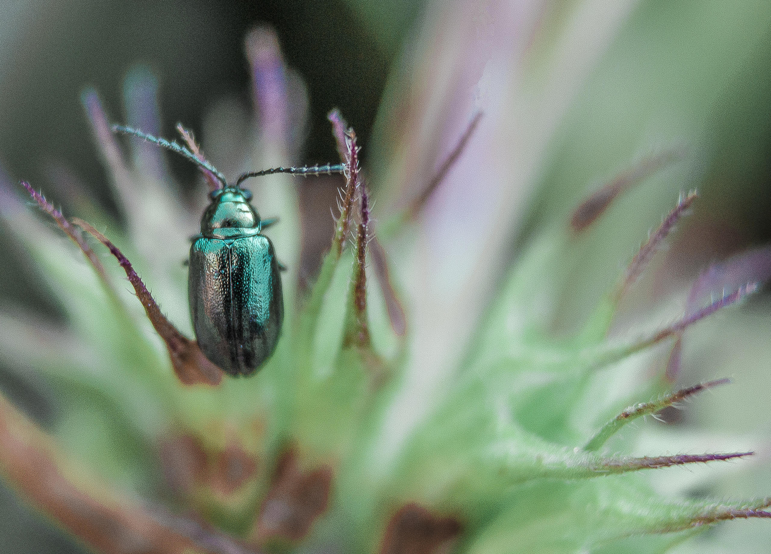 Макро. Обо всём