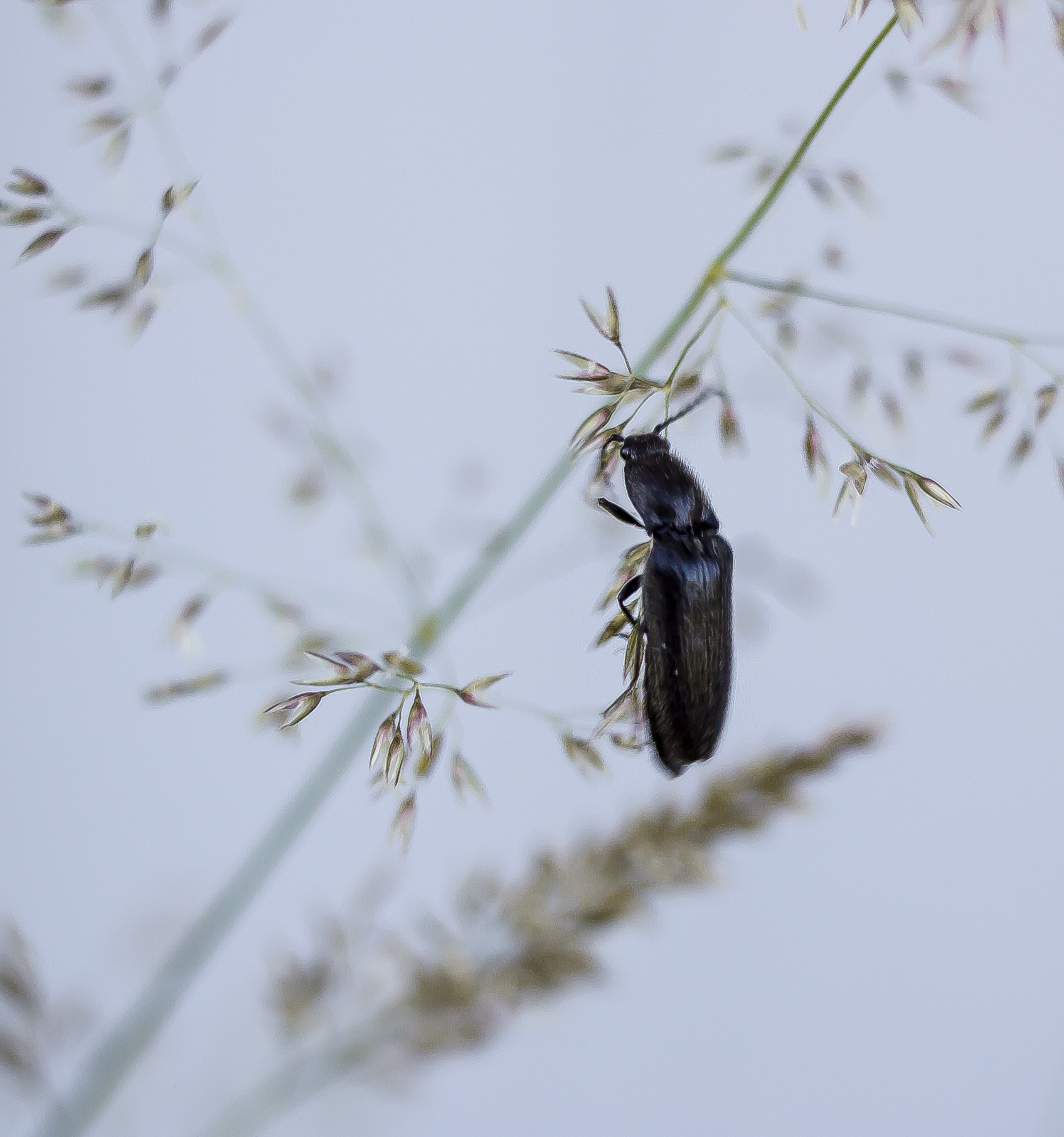 Макро. Обо всём