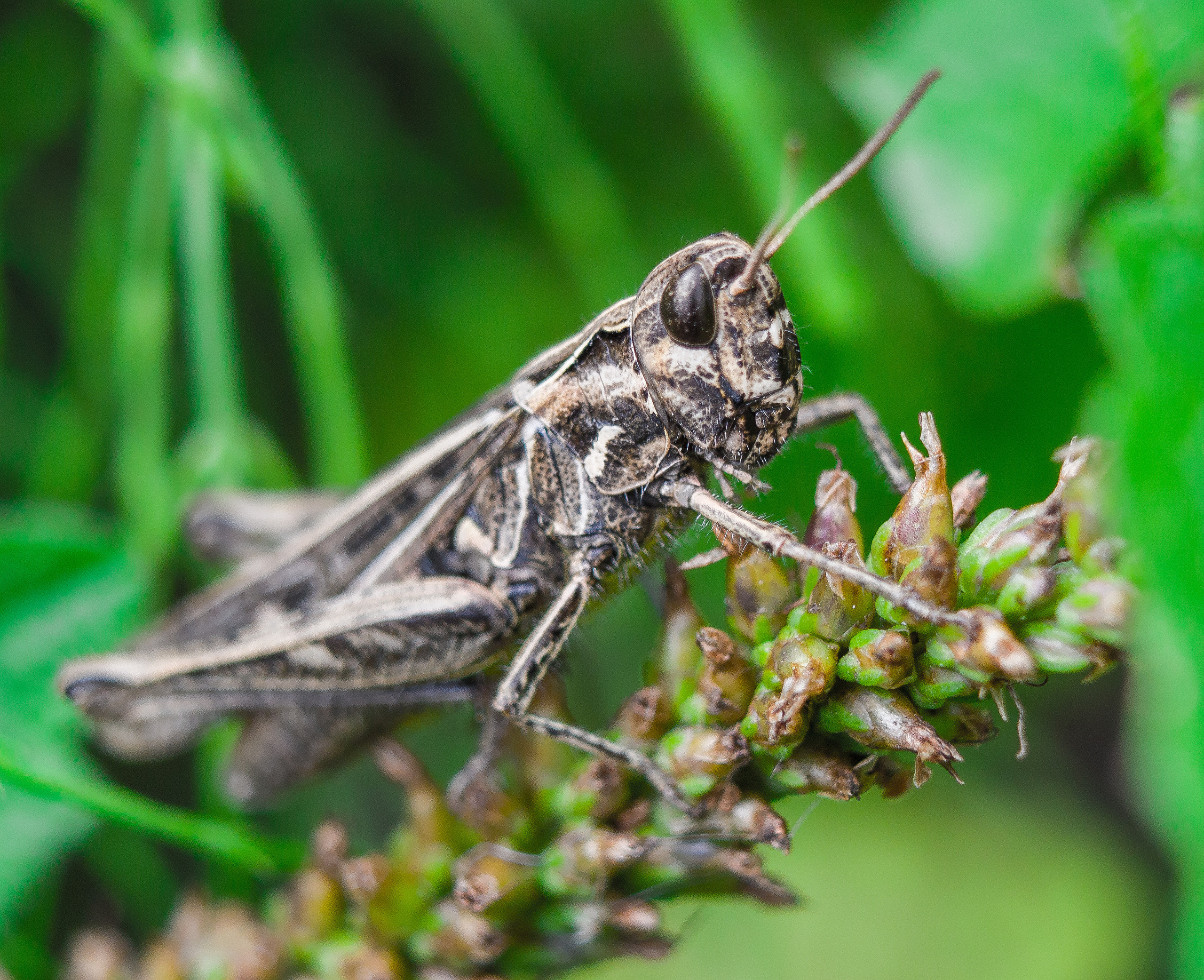 Макро. Обо всём
