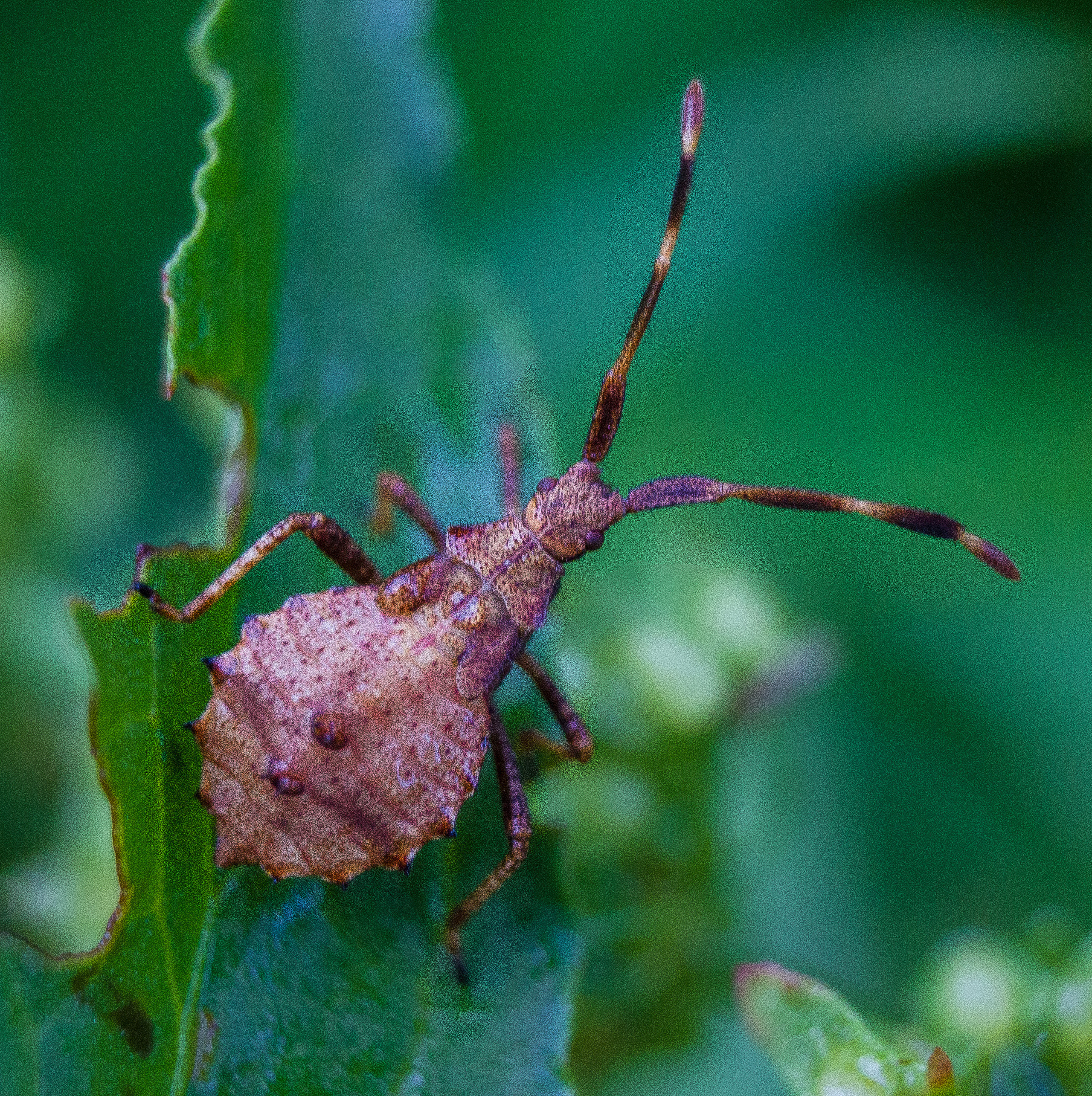 Макро. Обо всём