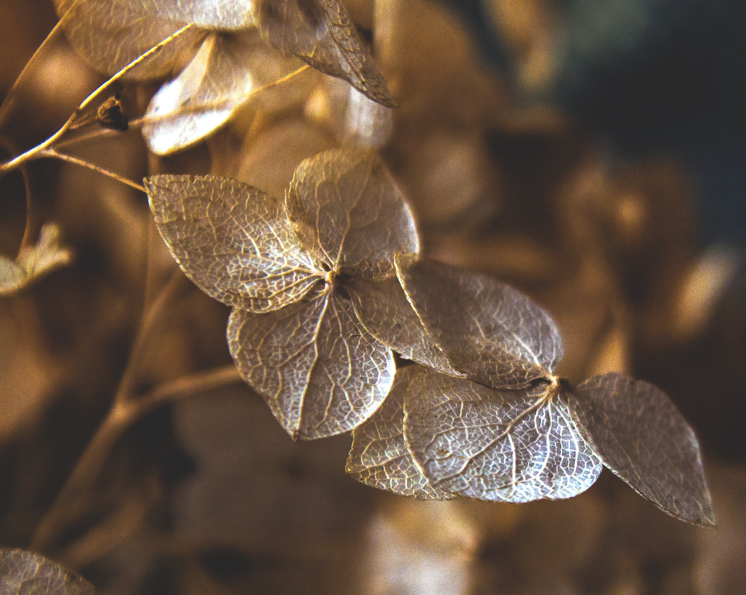 Макро. Обо всём