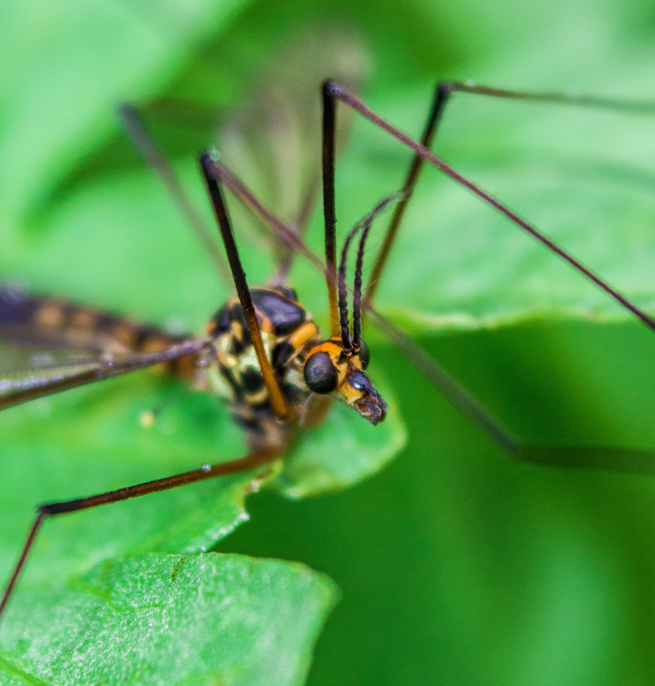 Макро. Обо всём