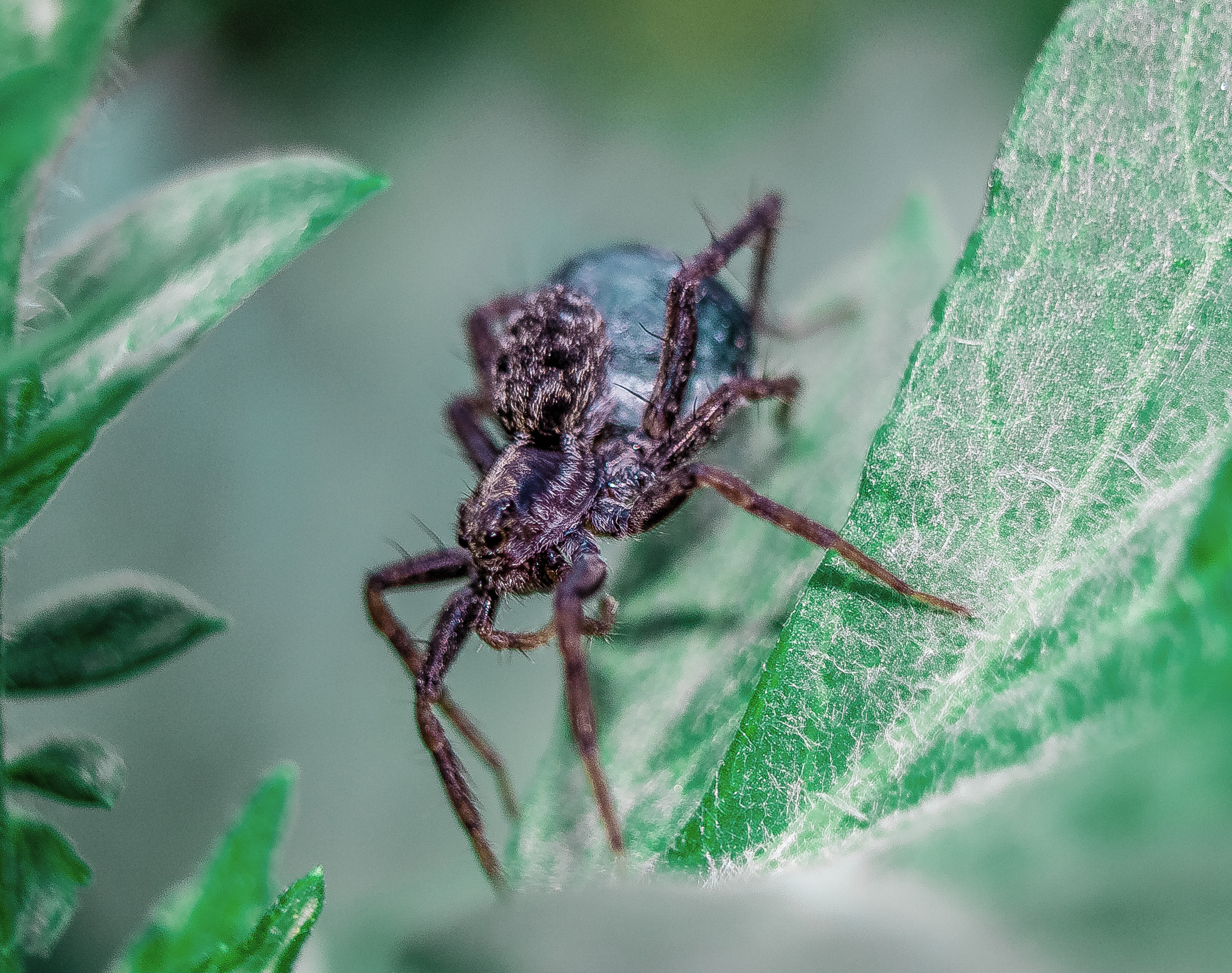 Макро. Обо всём