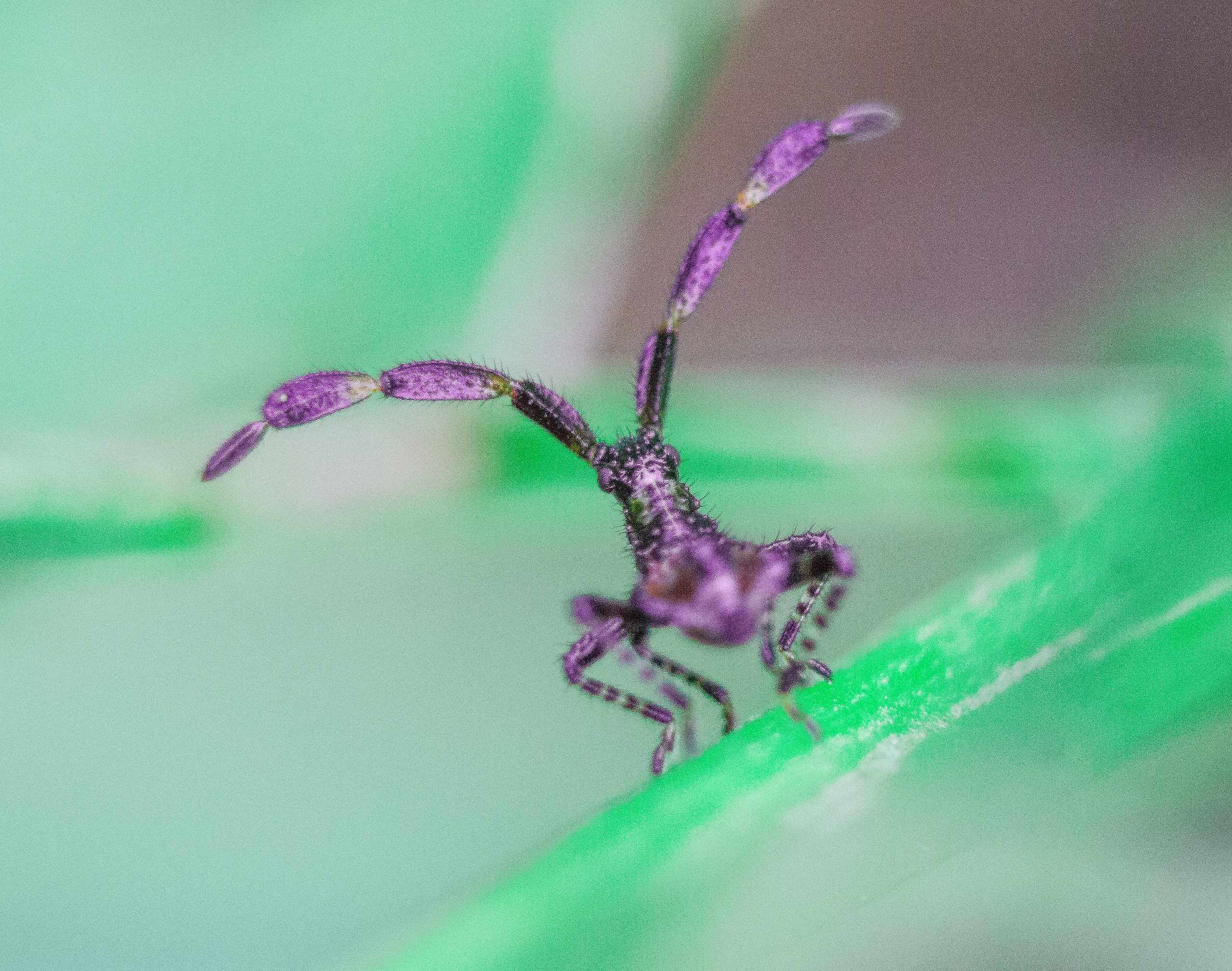 Макро. Обо всём