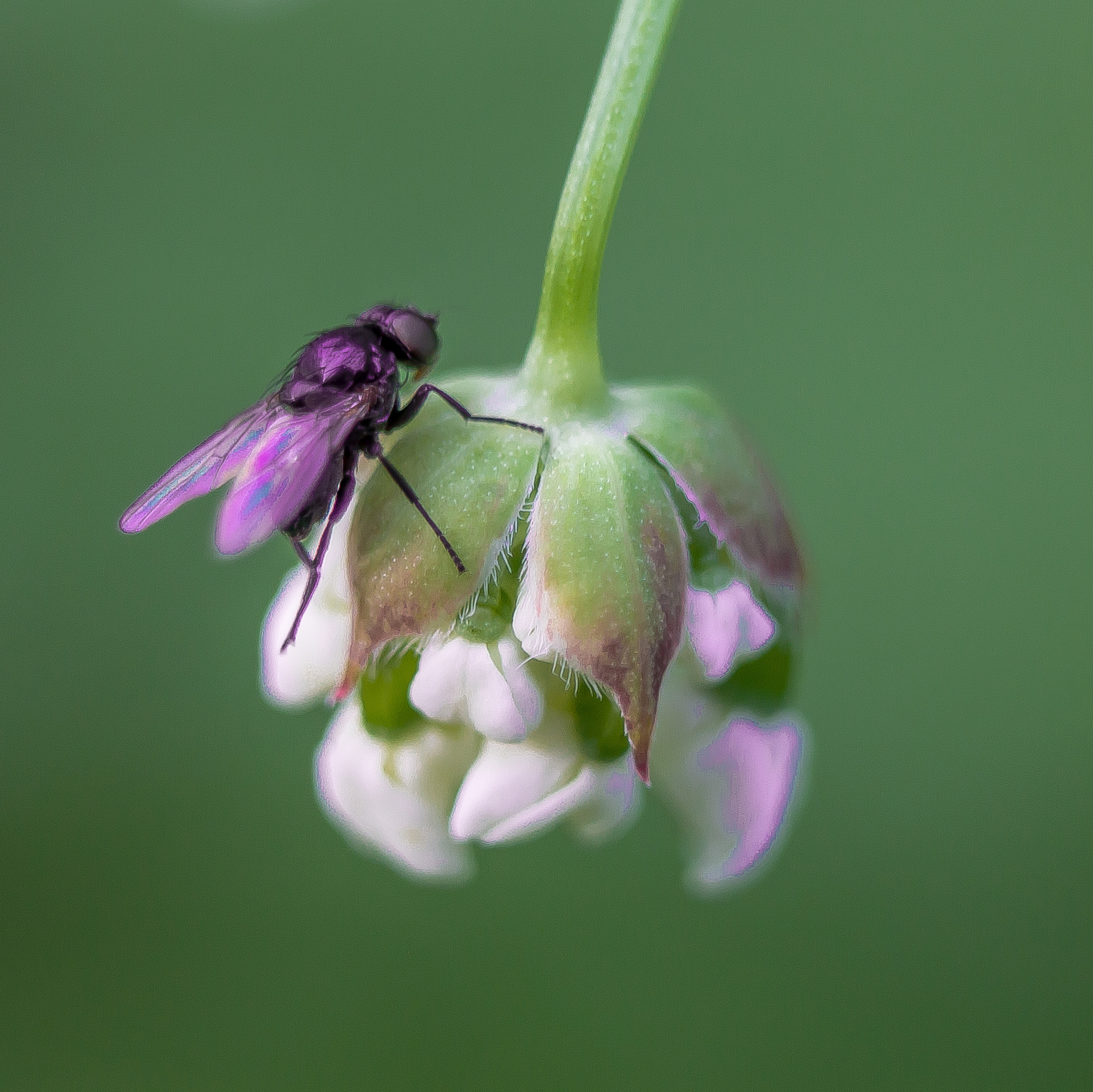 Макро. Обо всём