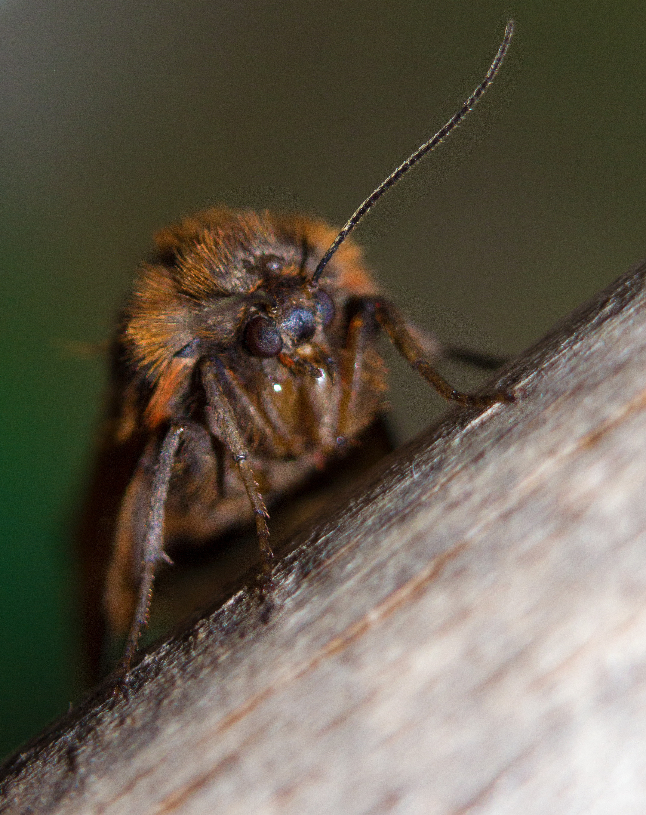 Макро. Обо всём