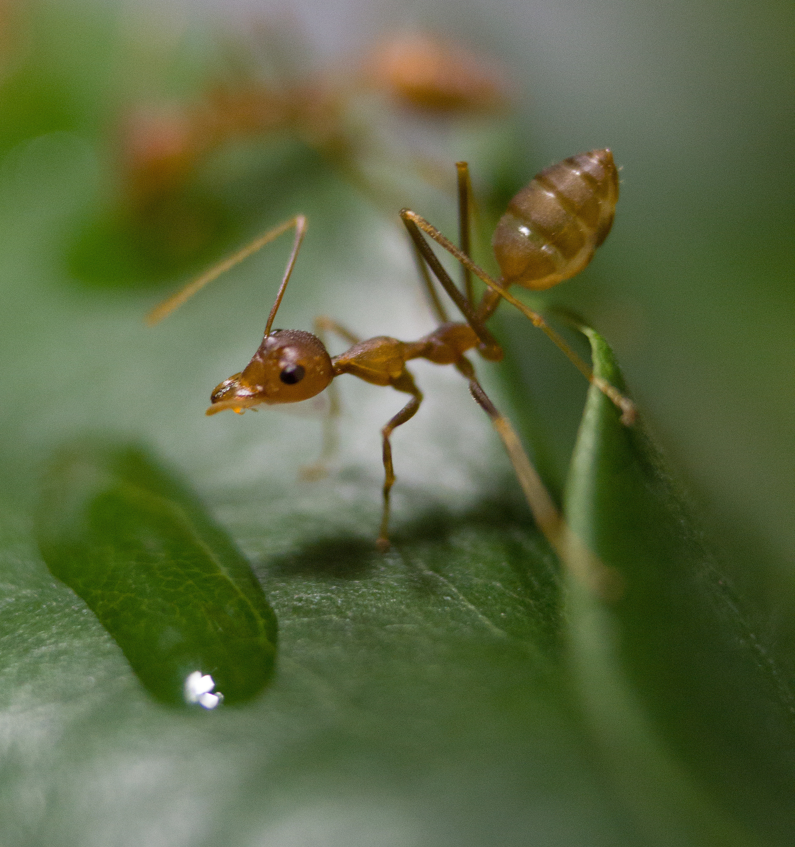 Макро. Обо всём