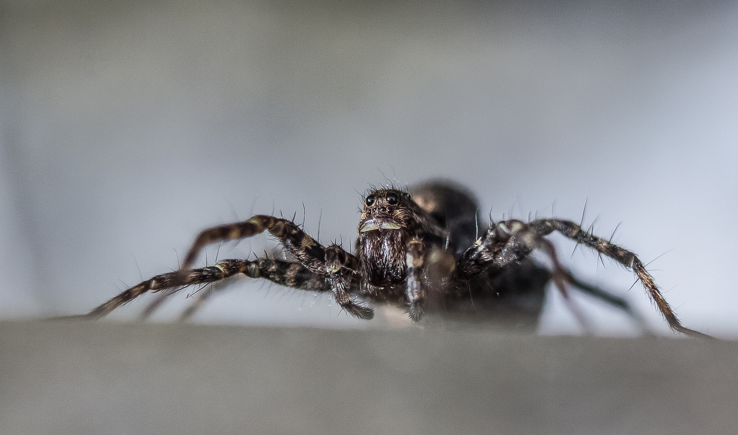 Макро. Обо всём