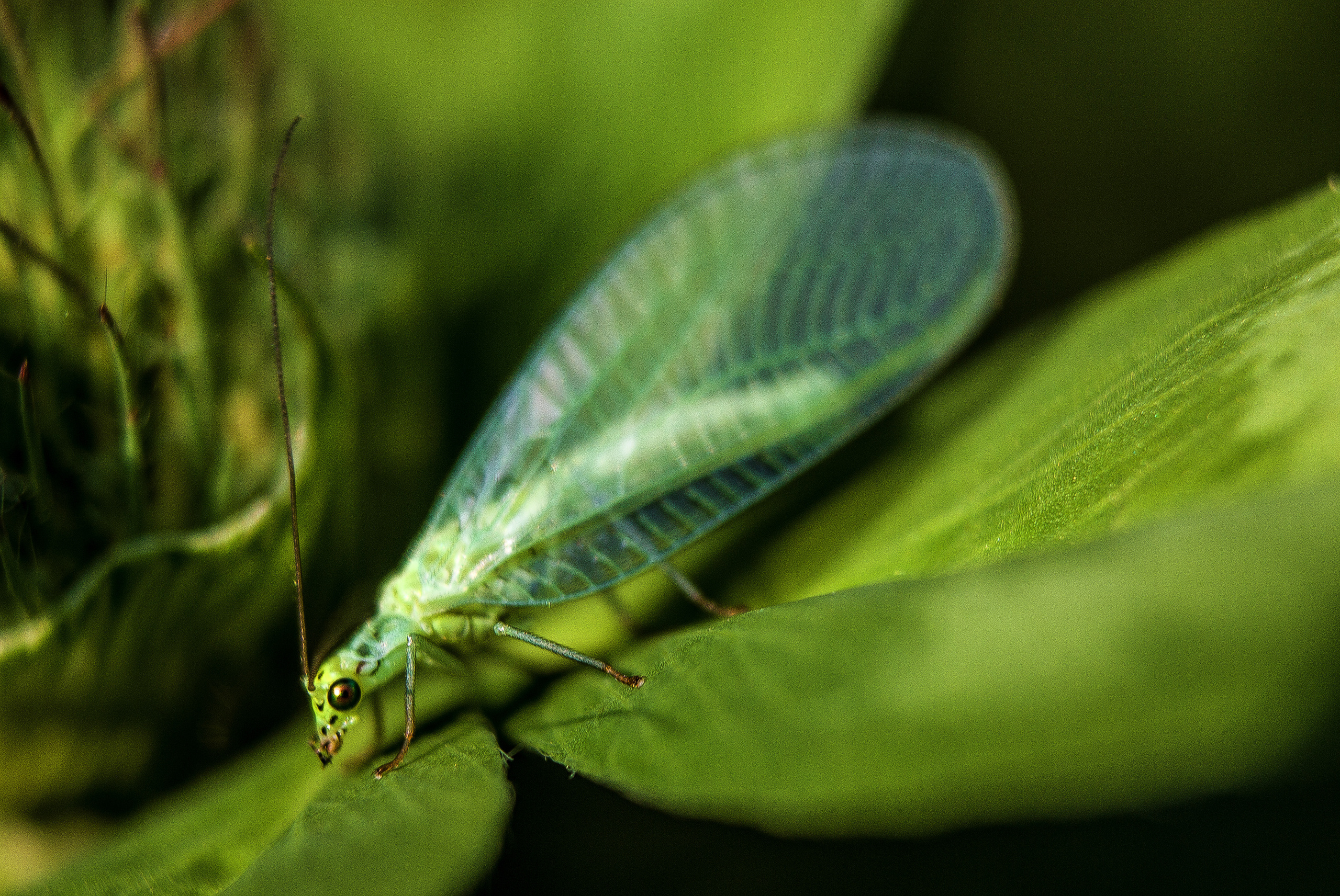 Макро. Обо всём