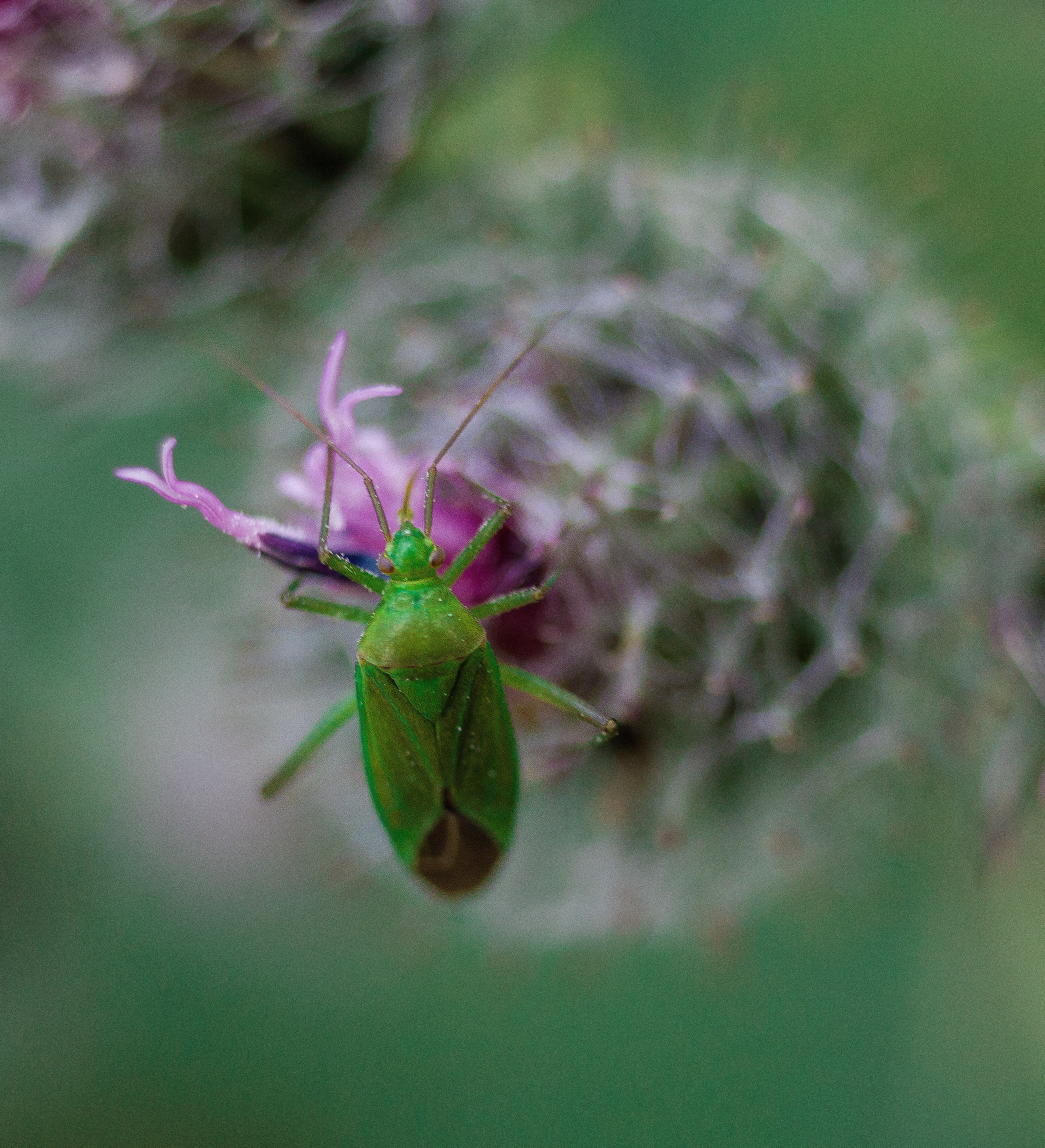 Макро. Обо всём