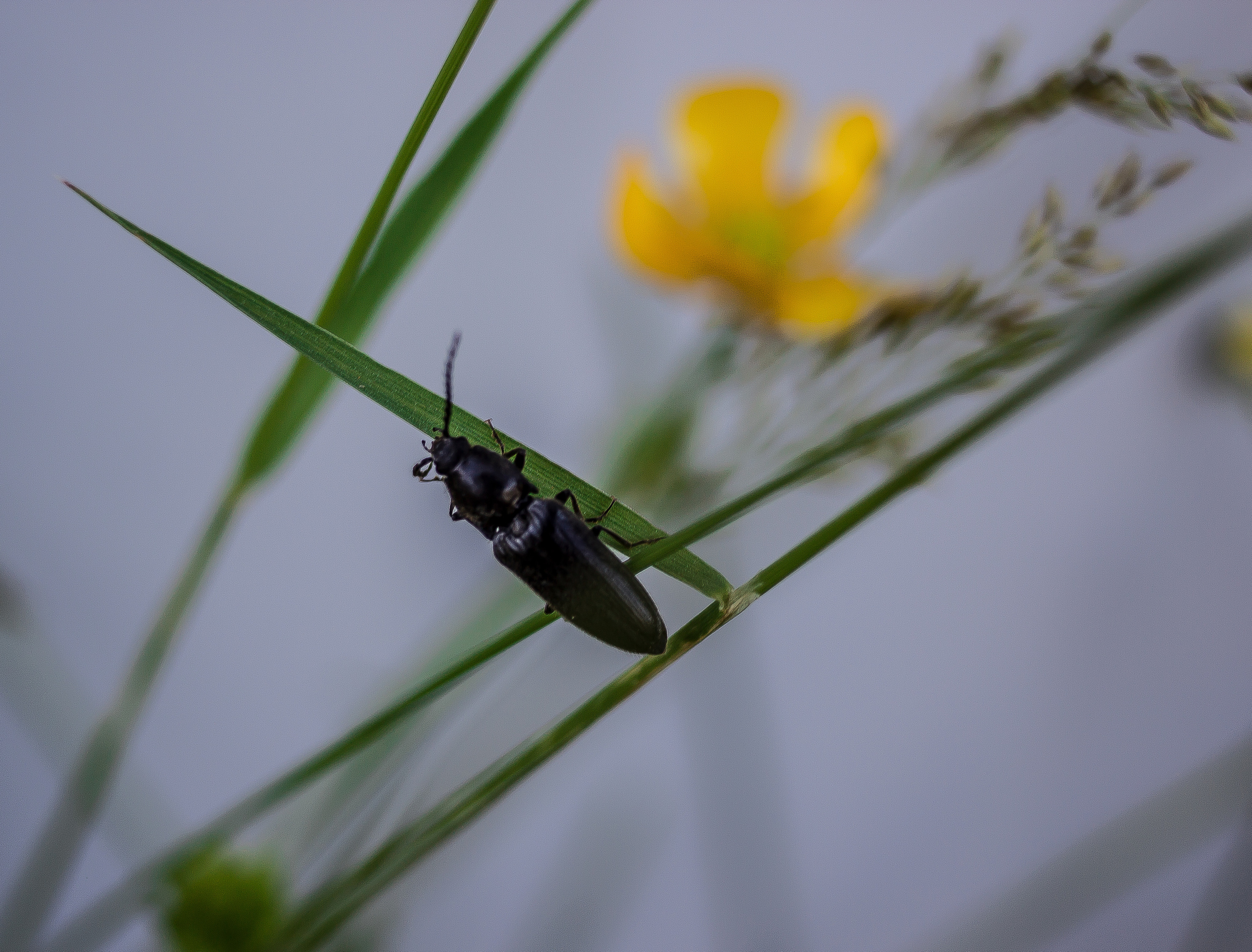 Макро. Обо всём