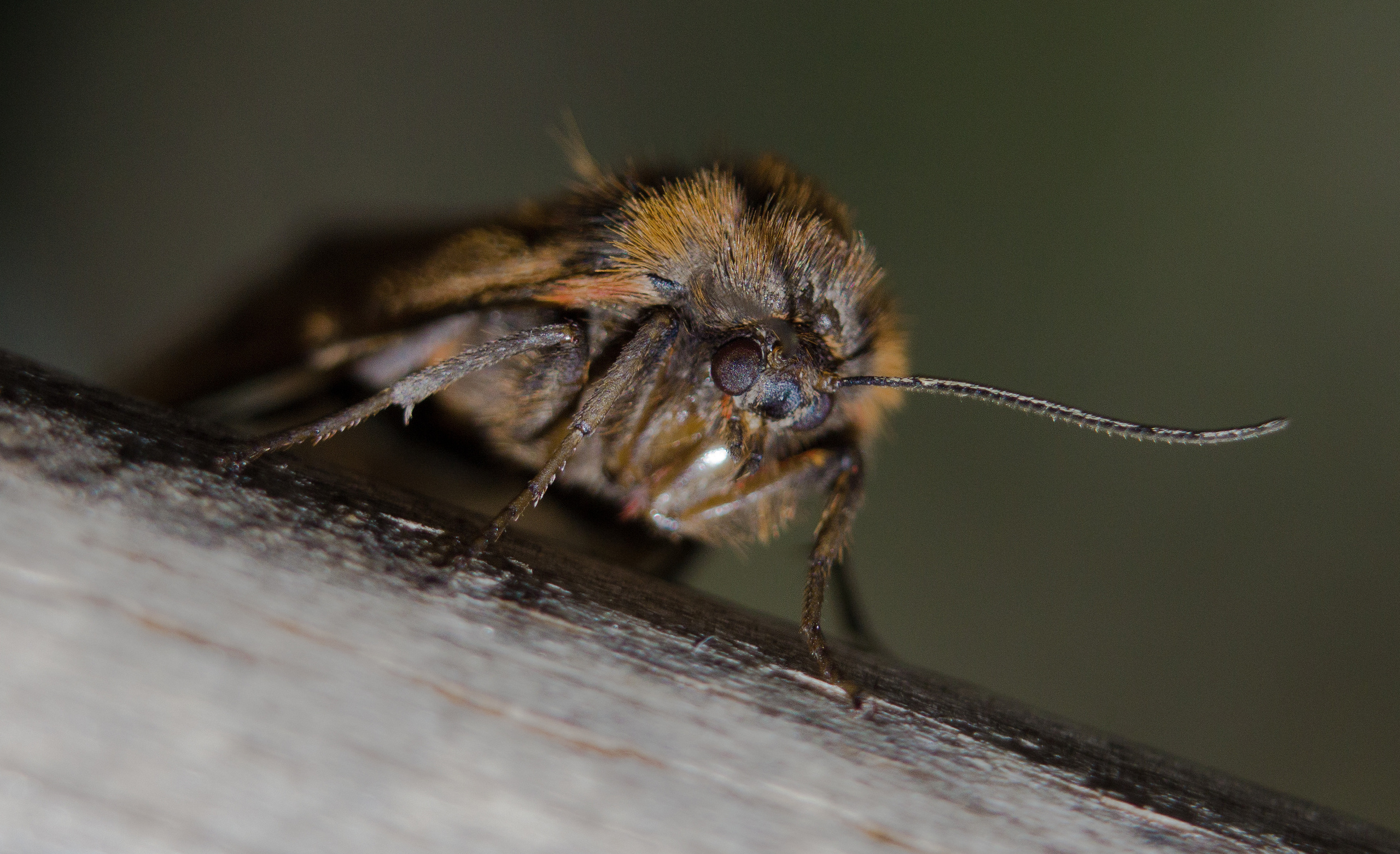 Макро. Обо всём