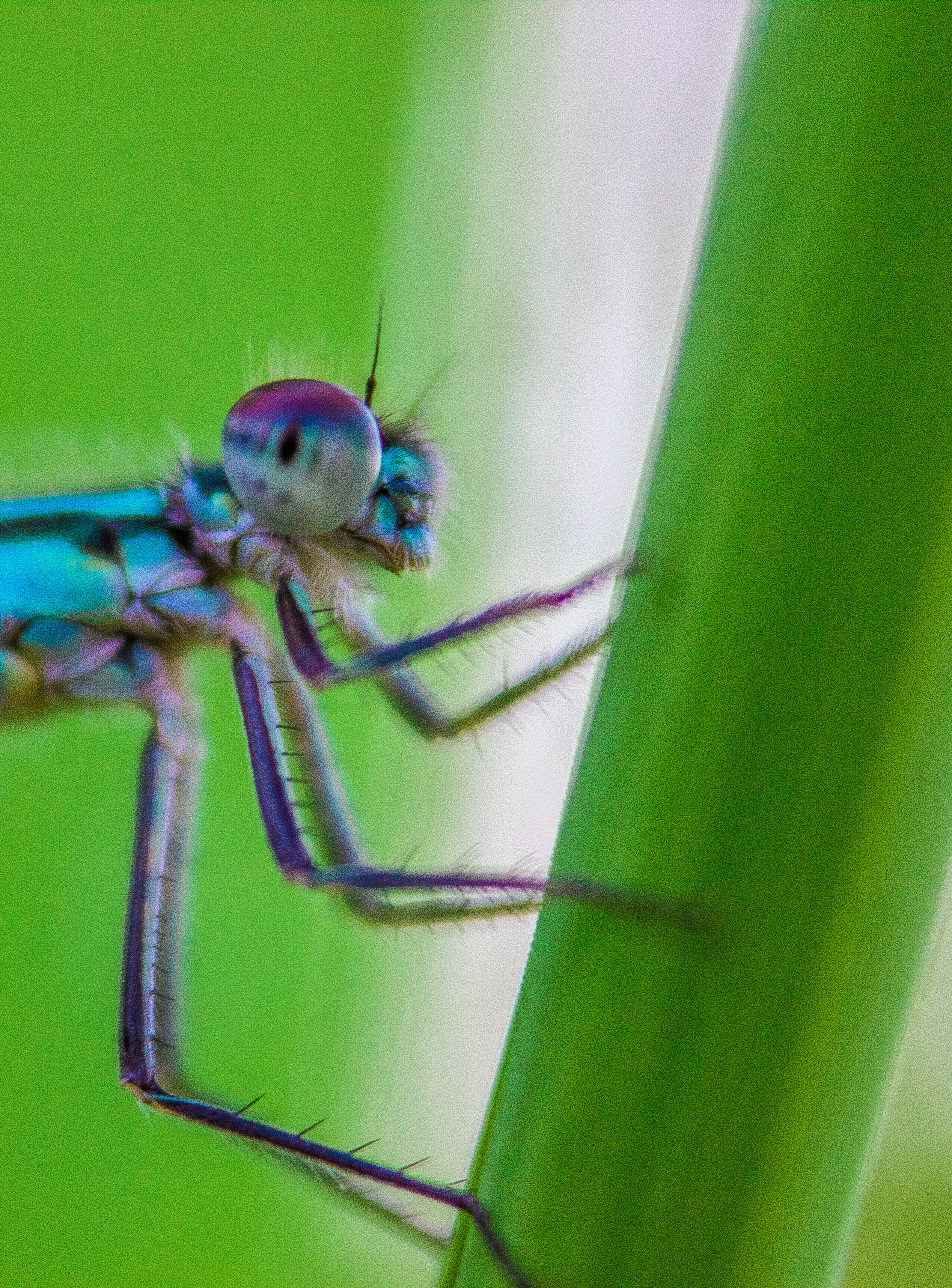 Макро. Обо всём