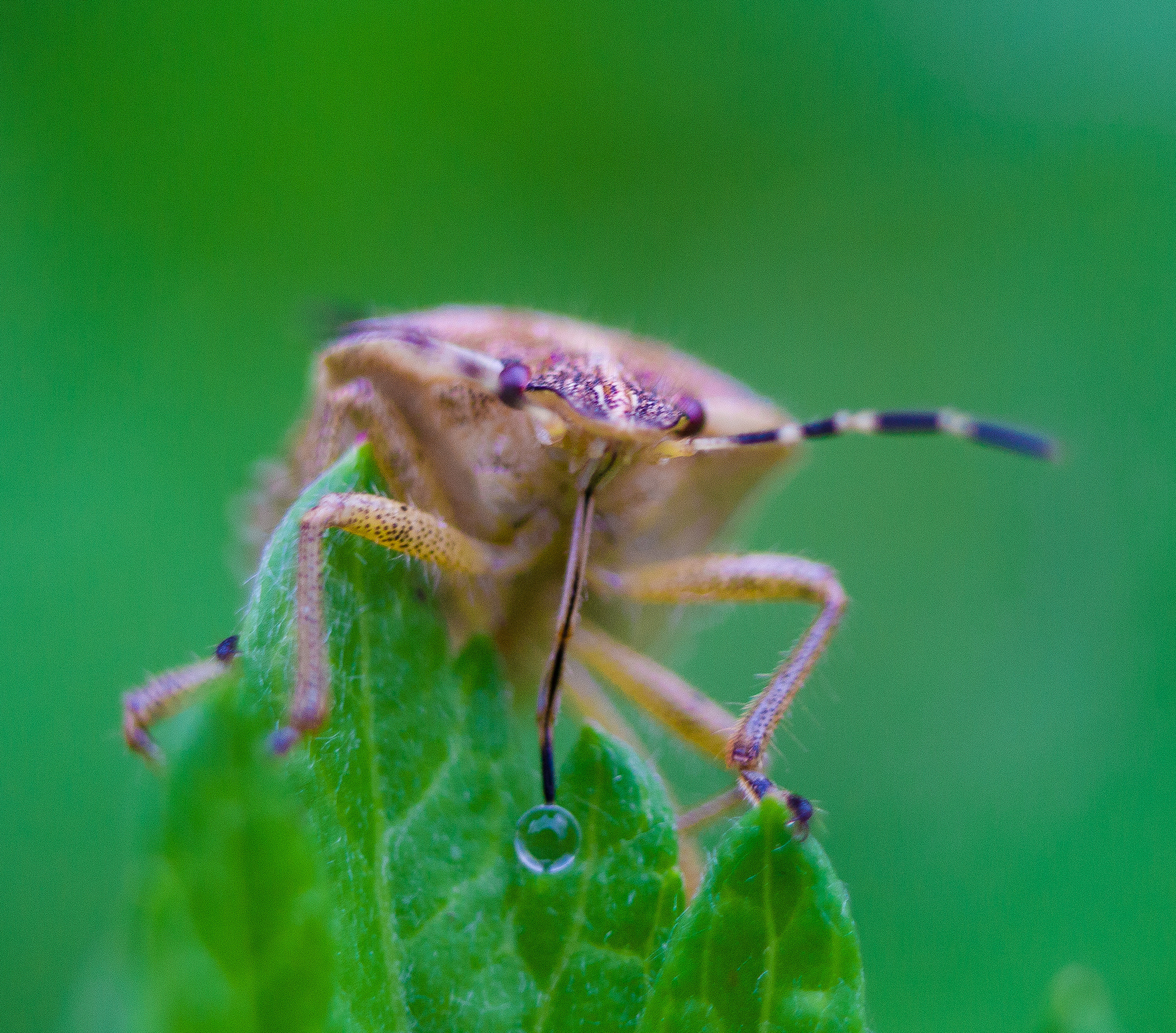 Макро. Обо всём