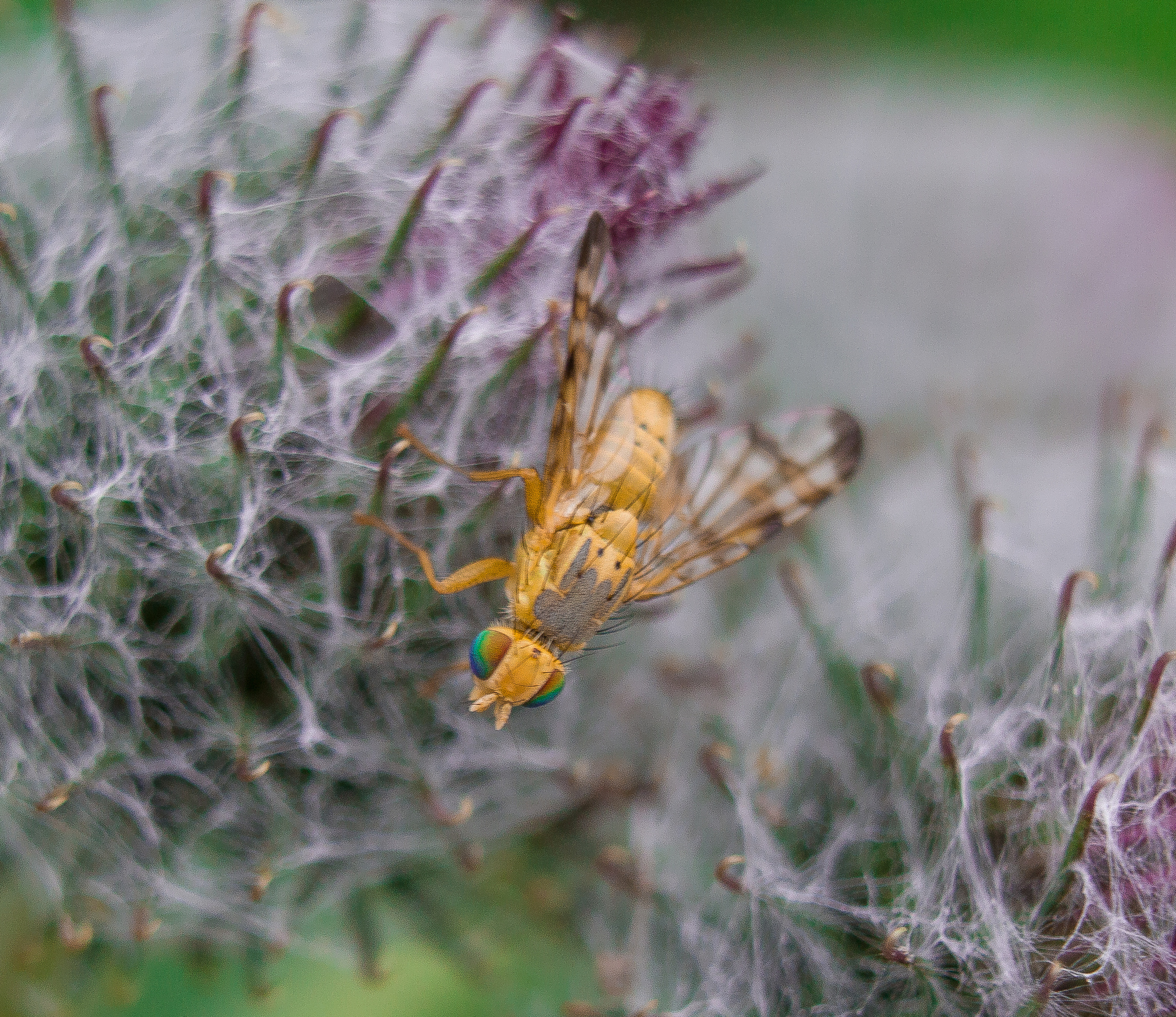 Макро. Обо всём