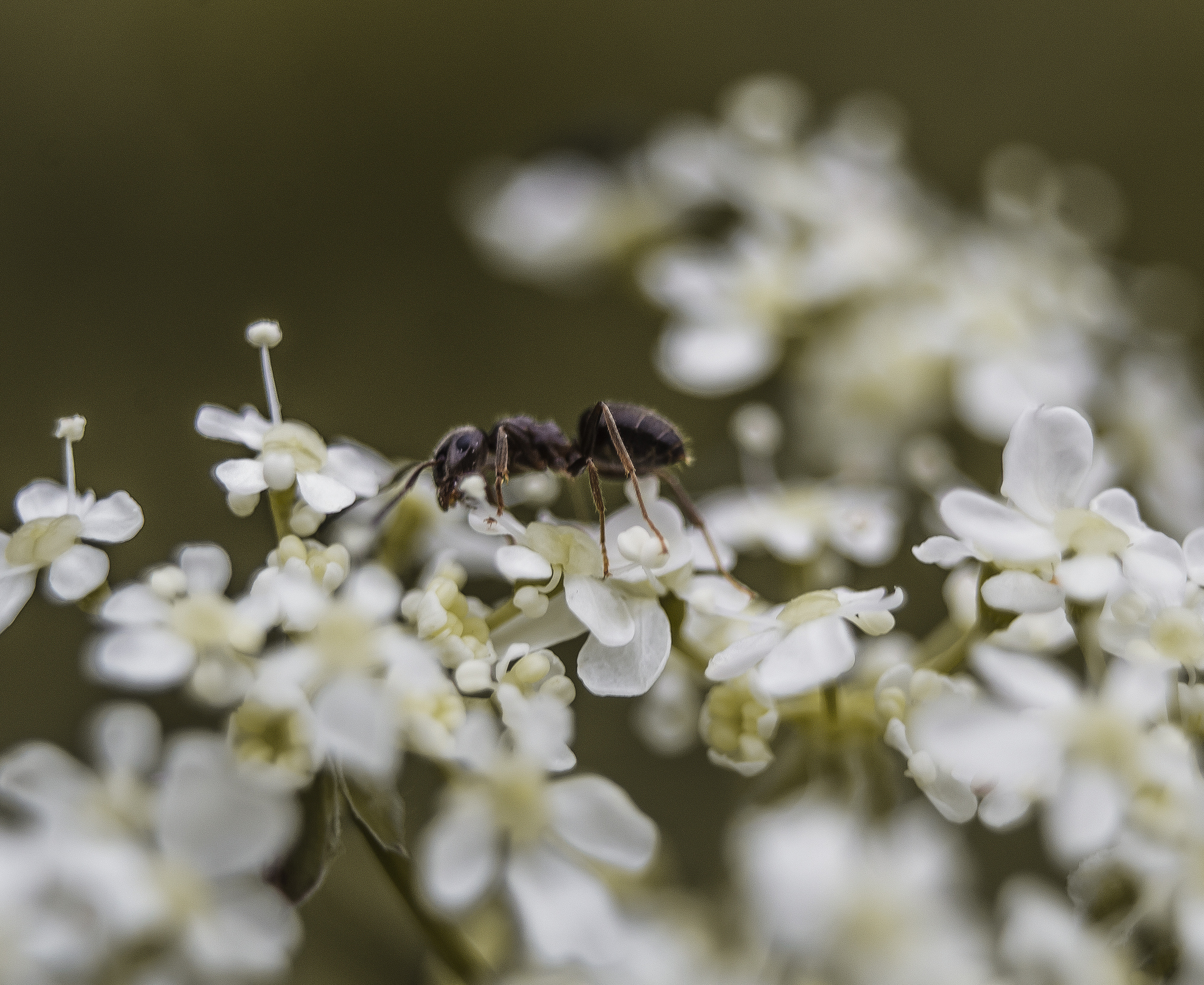 Макро. Обо всём