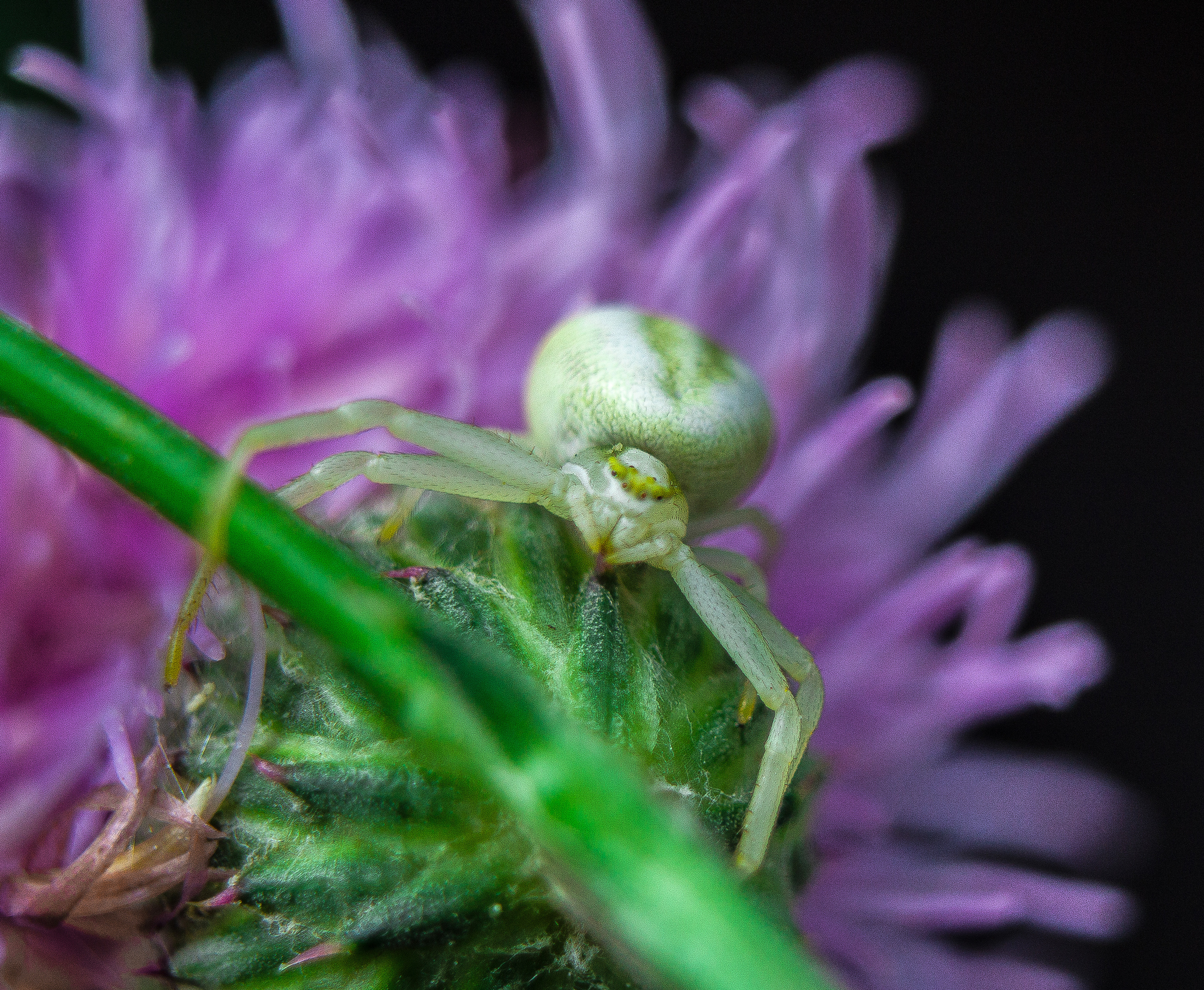 Макро. Обо всём