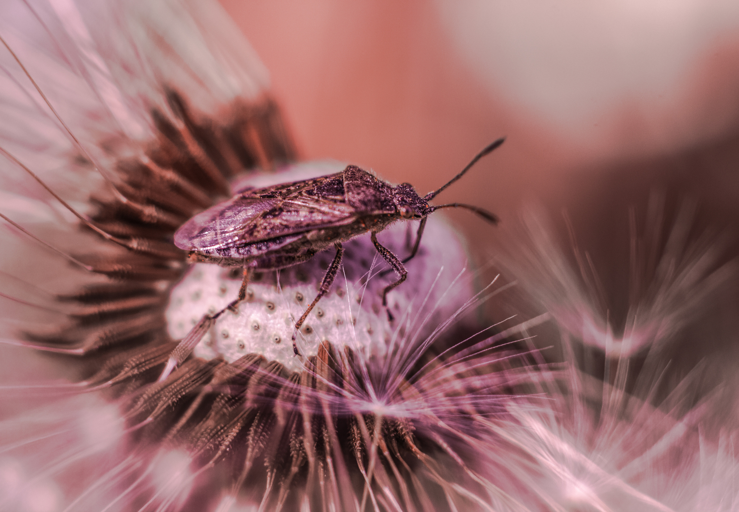 Макро. Обо всём