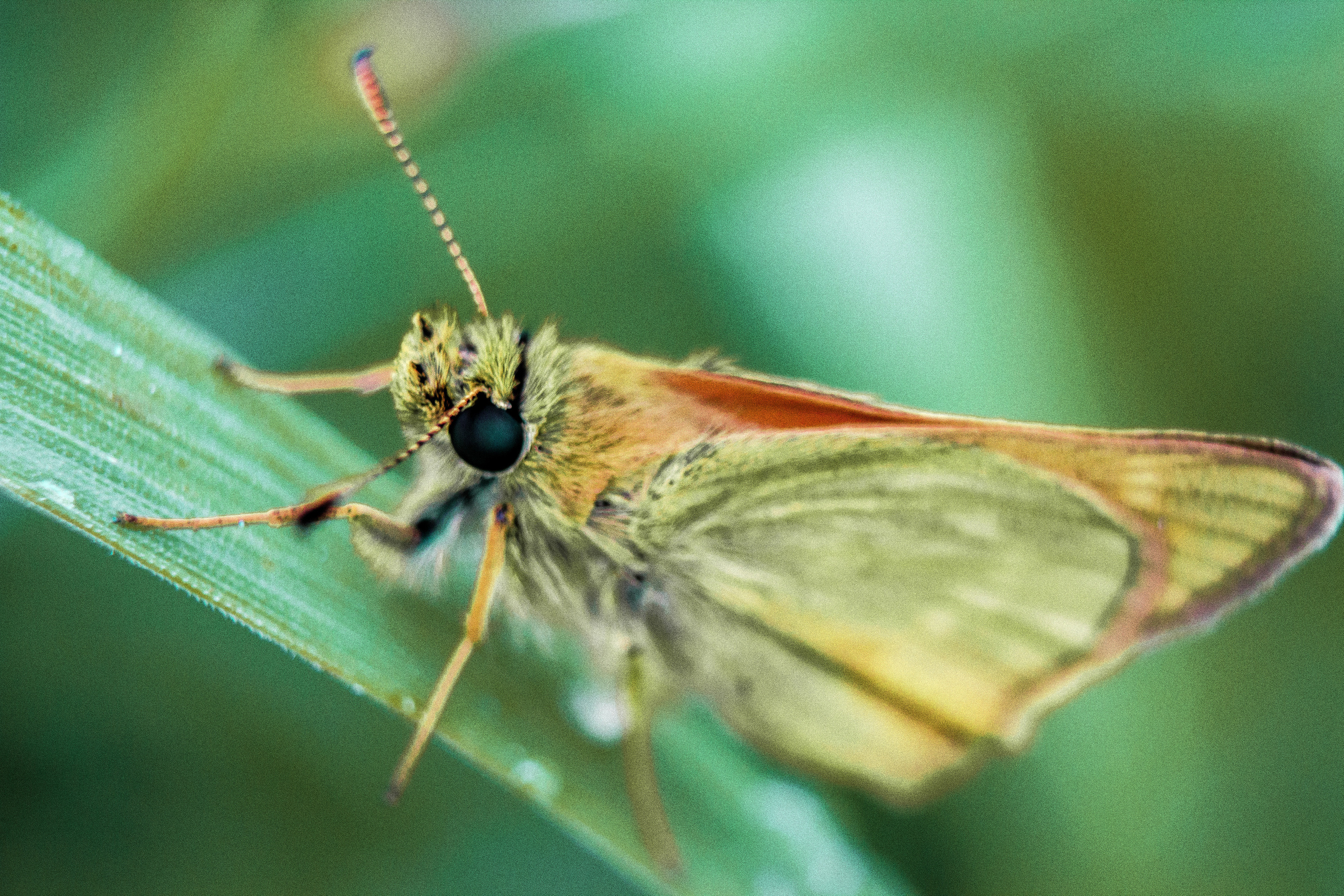 Макро. Обо всём