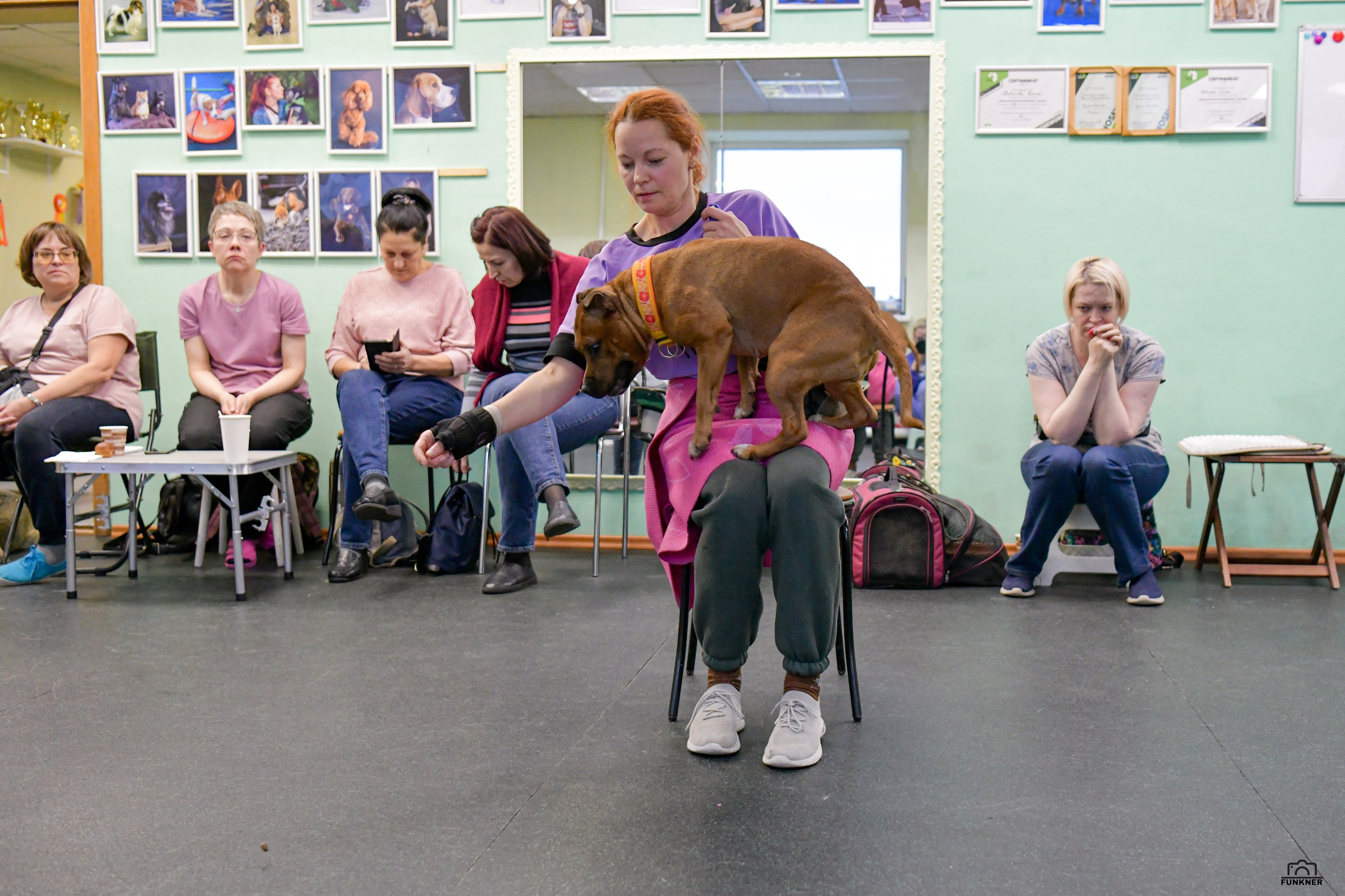 Кинологический клуб «Бодрый хвост». Свой взгляд через объектив