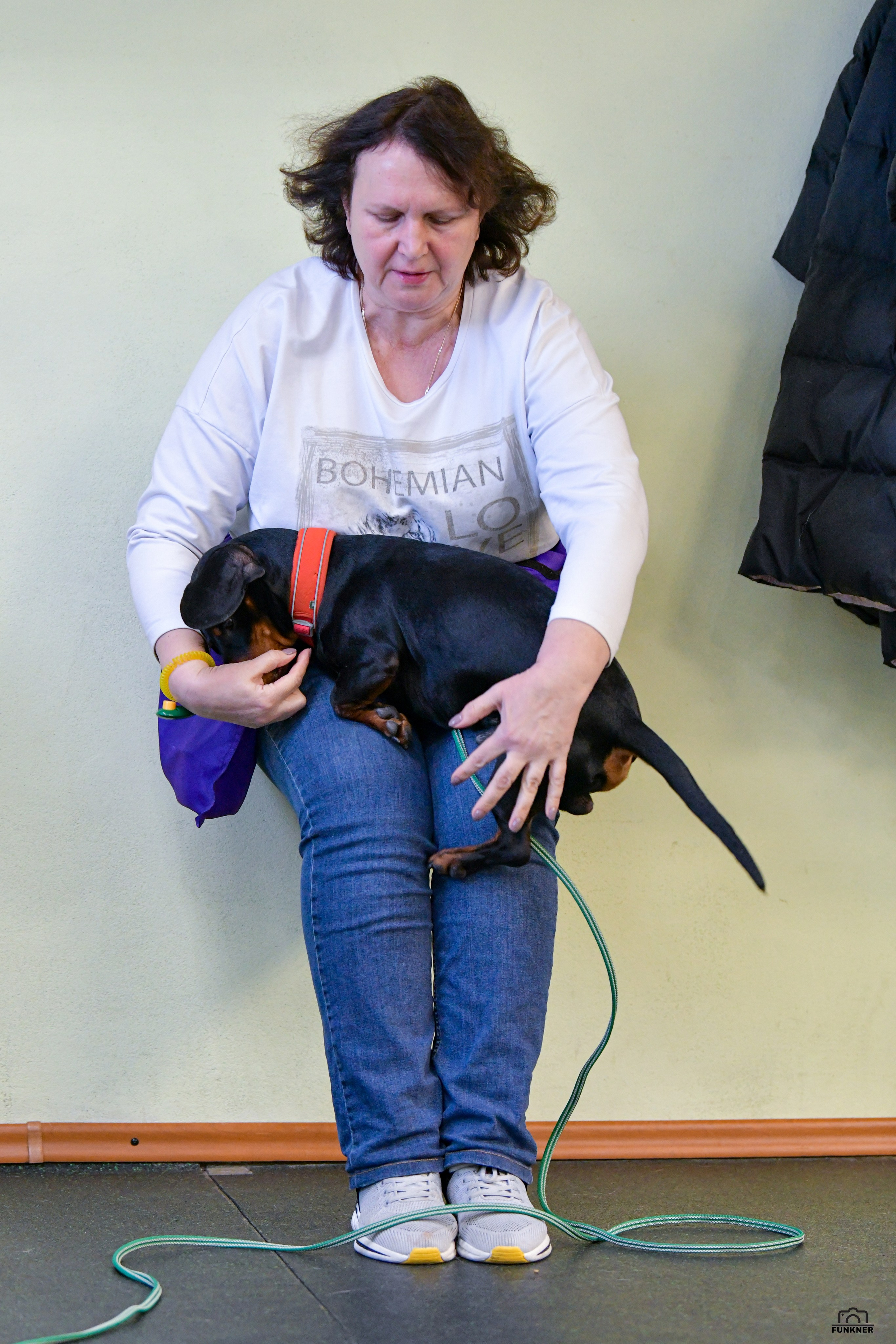 Кинологический клуб «Бодрый хвост». Свой взгляд через объектив