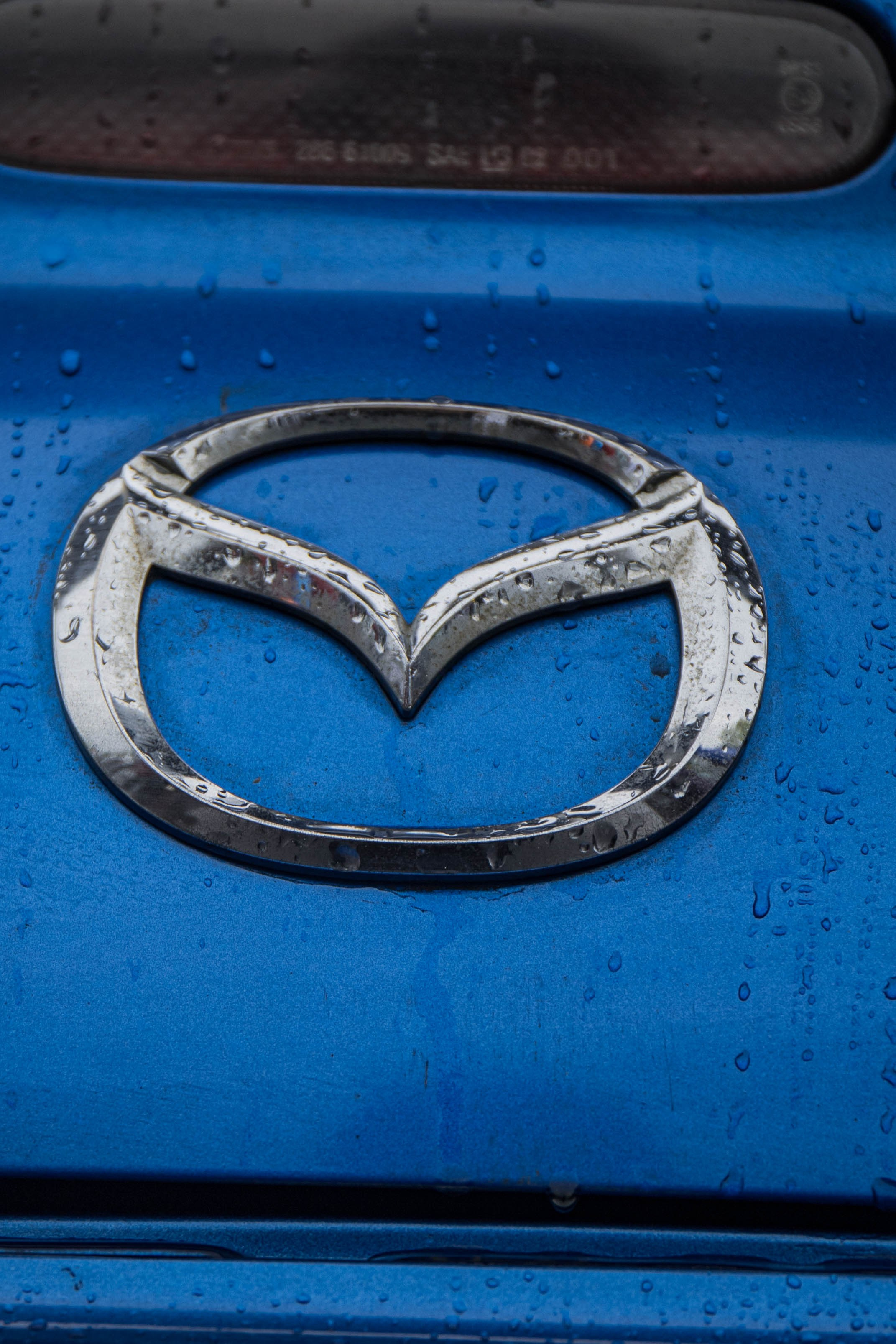 ▶️Молодёжный фестиваль «Ё-ность.фест». Репортажный фотограф в Иркутске — Ярослав Ковалёв