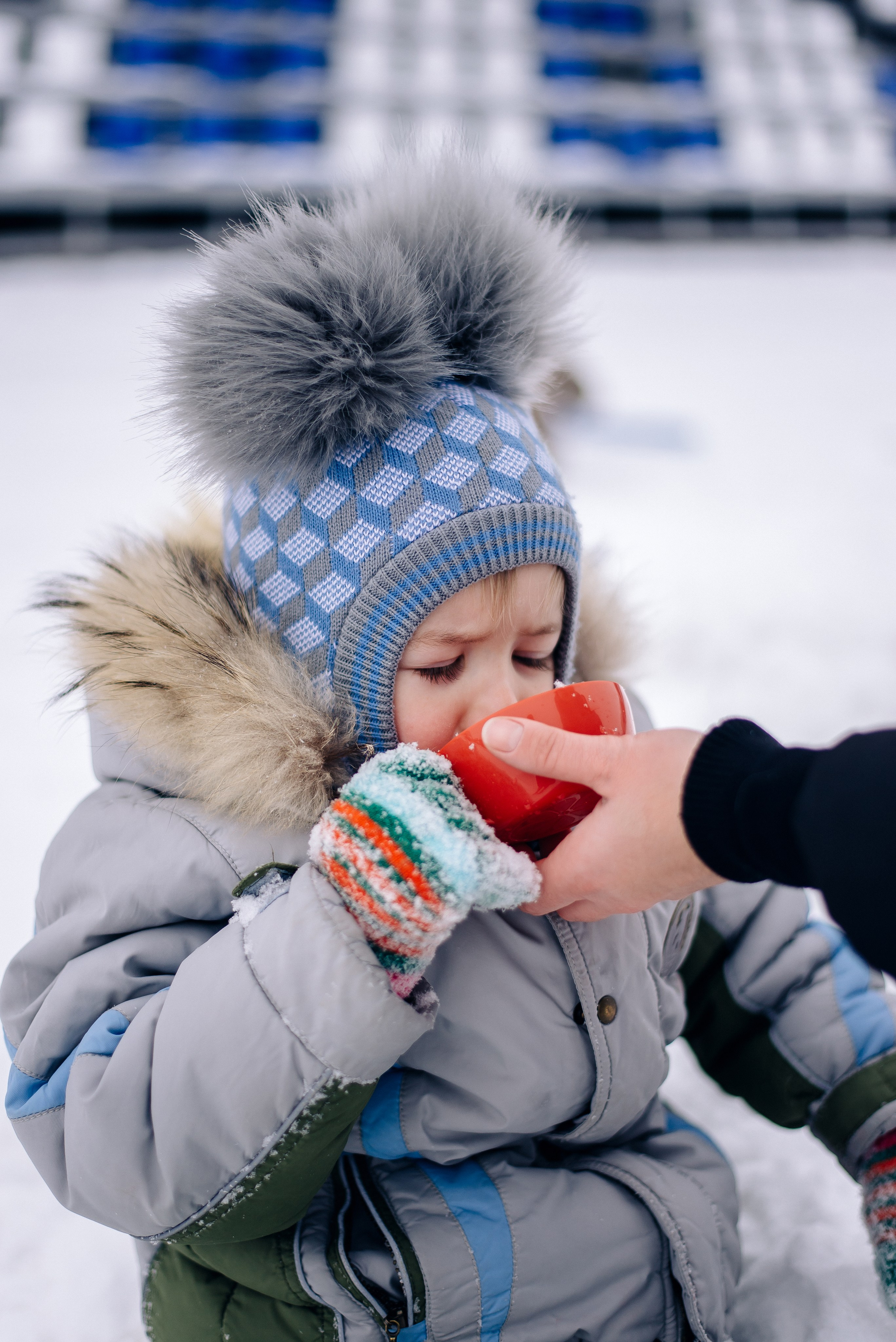 Коньки. Фотограф — МАРИЯ МЕДВЕДЕВА