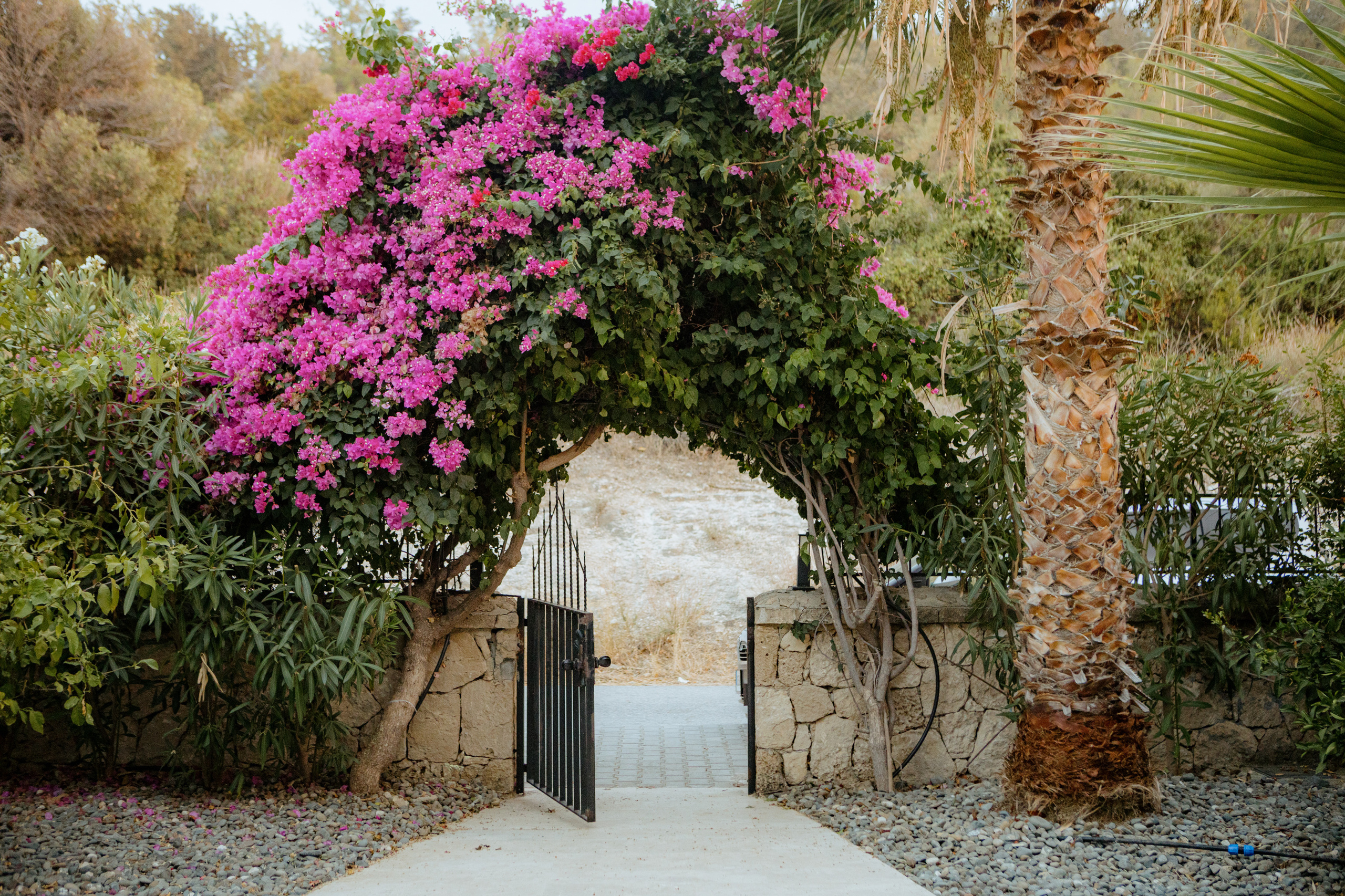 V&J. Фотограф в Батуми Павел Шарников