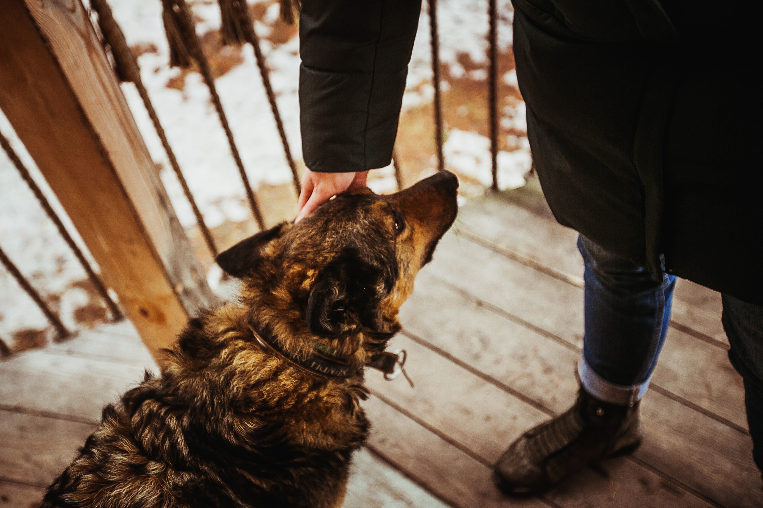 Никита и Лена. В гнезде. Фотограф Полина Егорова город Тюмень