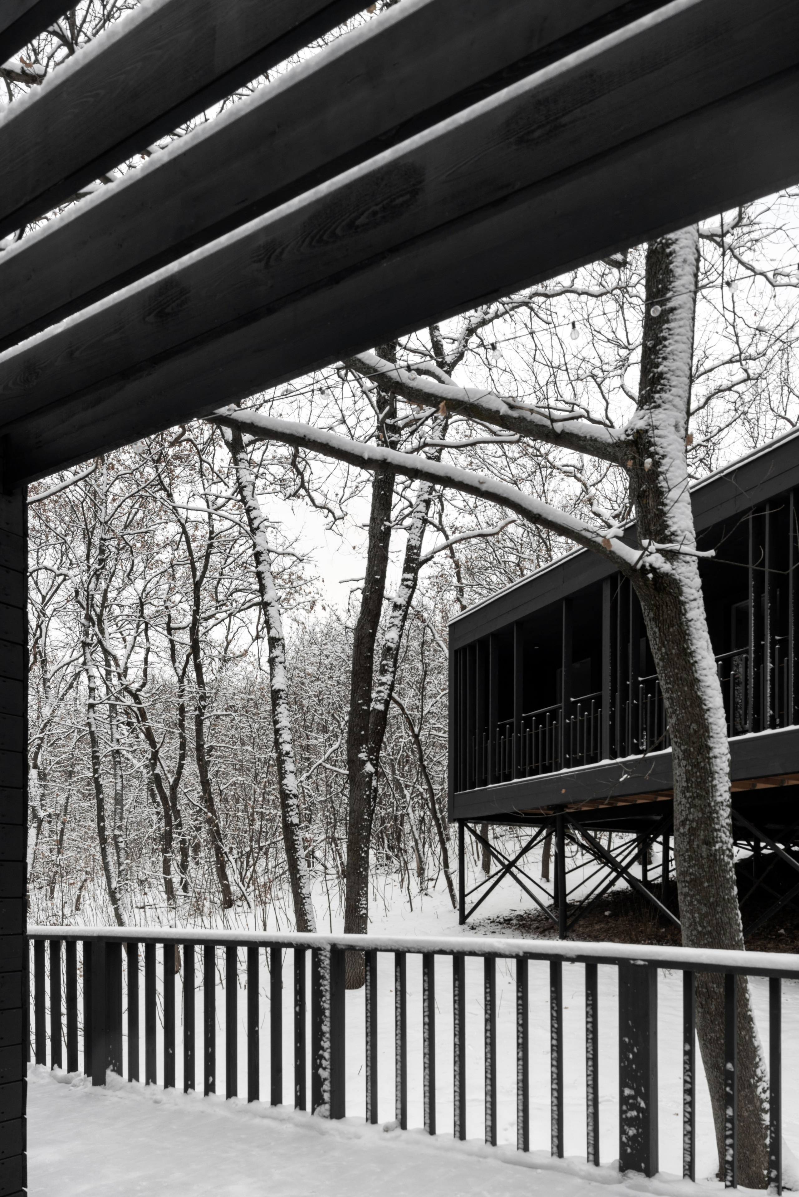 ХОЛМ. SAAS Селиванов Алексей Архитектурная Студия