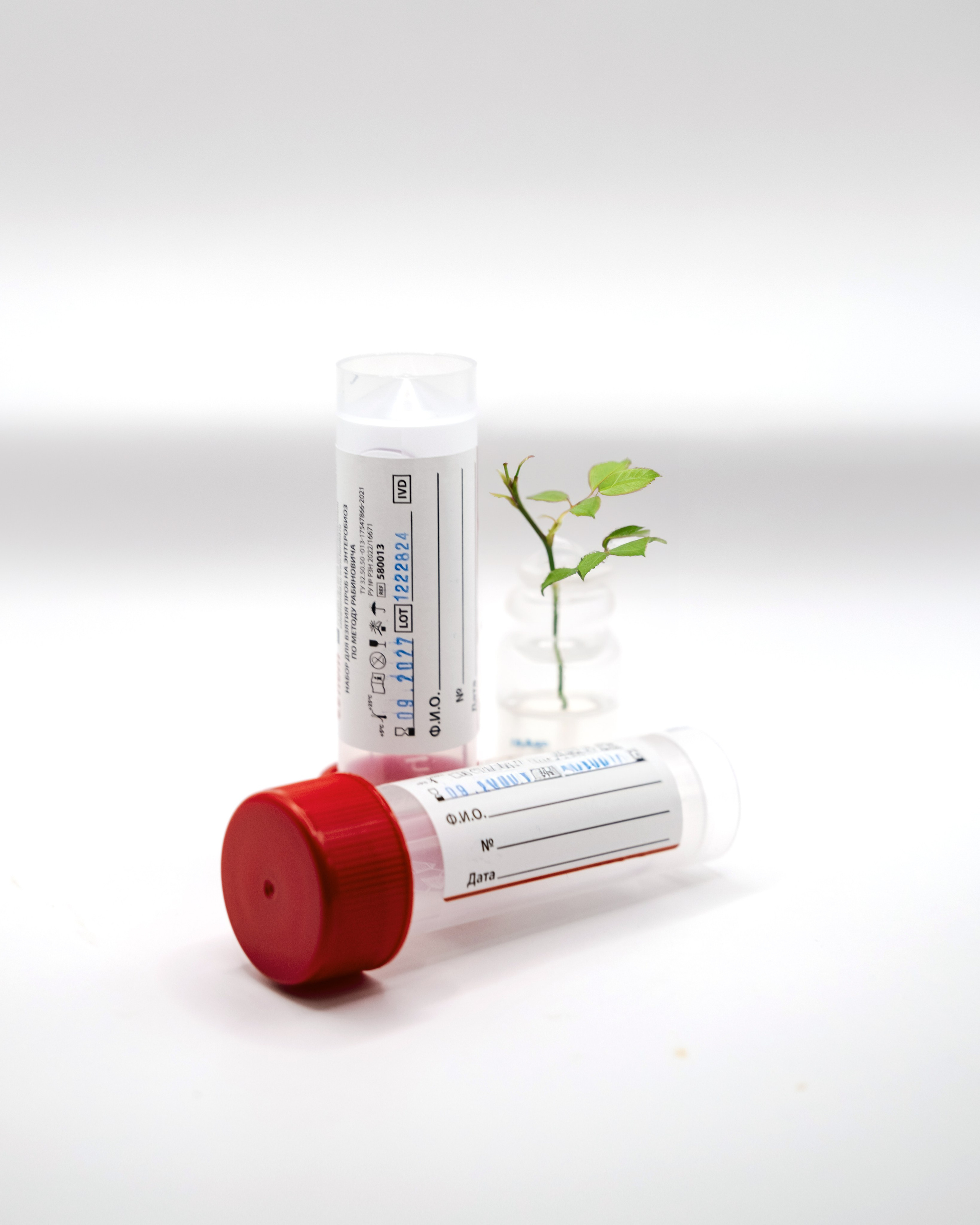 Helix. Фотограф Санкт-Петербург/ Москва Сланцем Нина