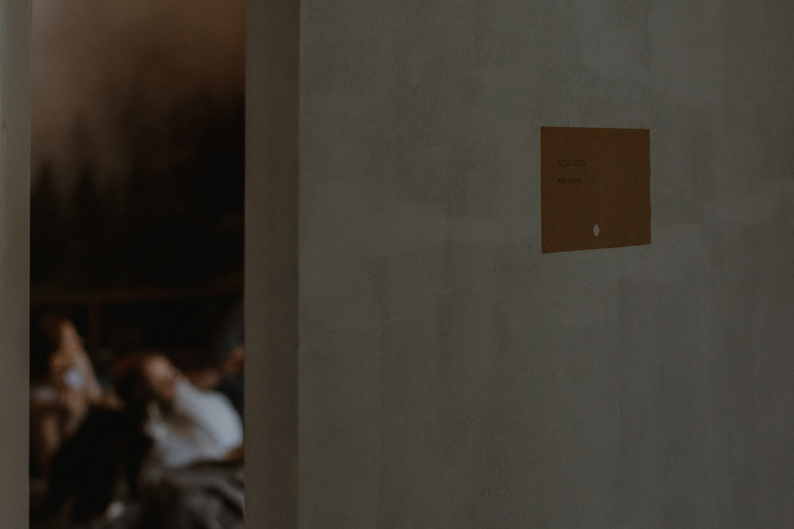 Артем и Анастасия. Свадебный фотограф в Ярославле Андрей Перегудов