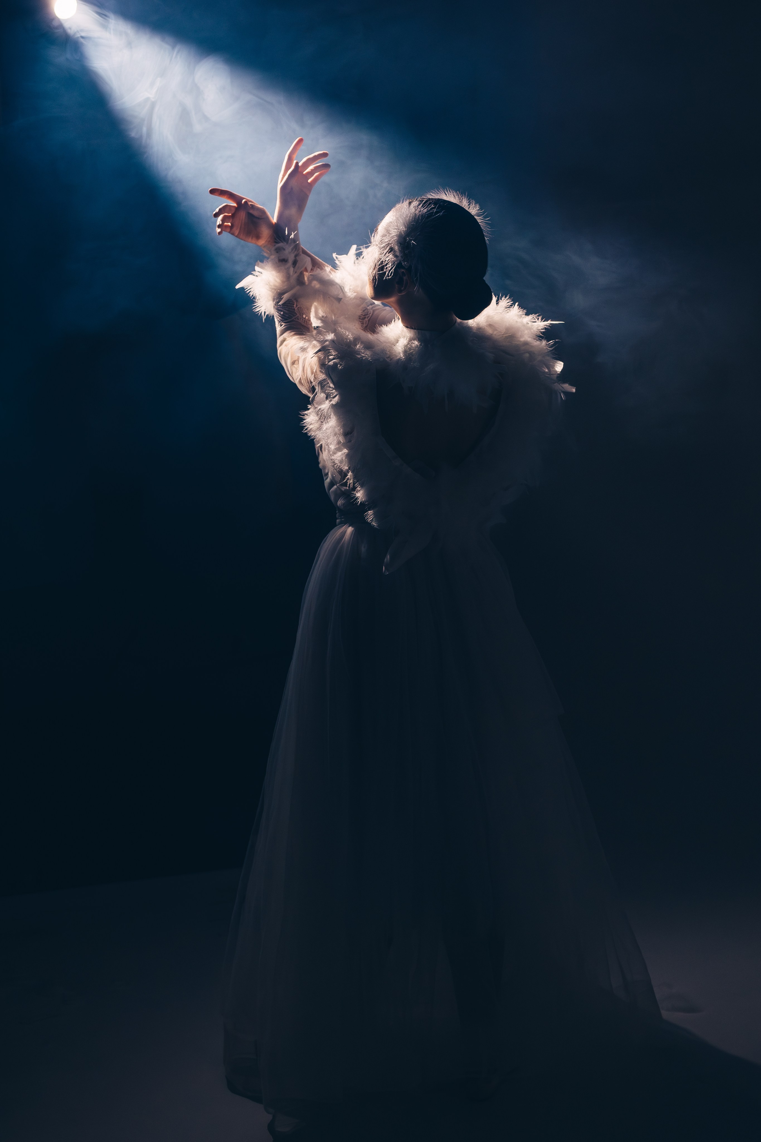 «Белый лебедь»