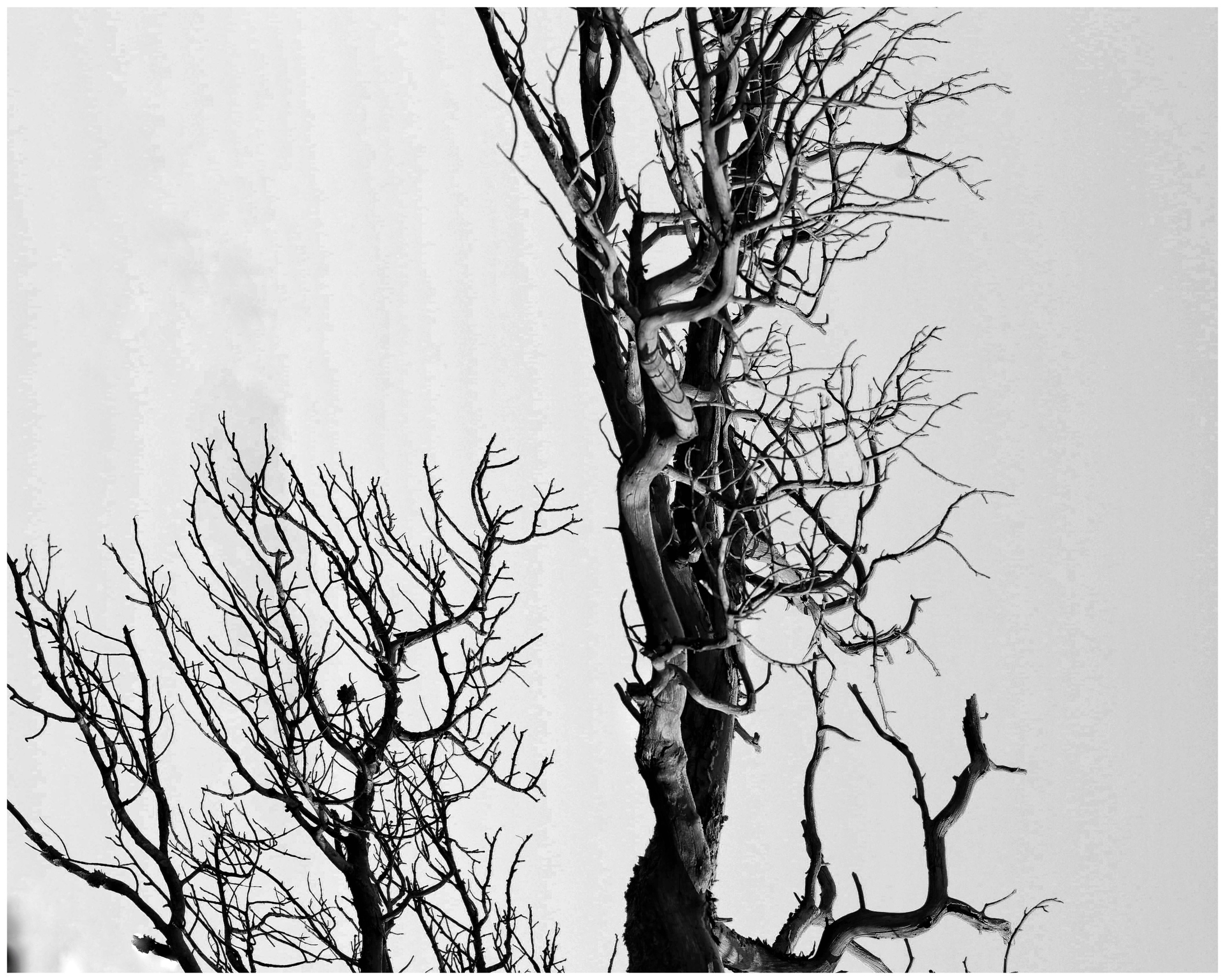 2022. Тащилин Сергей. Фотографии. Жизнь. Хобби