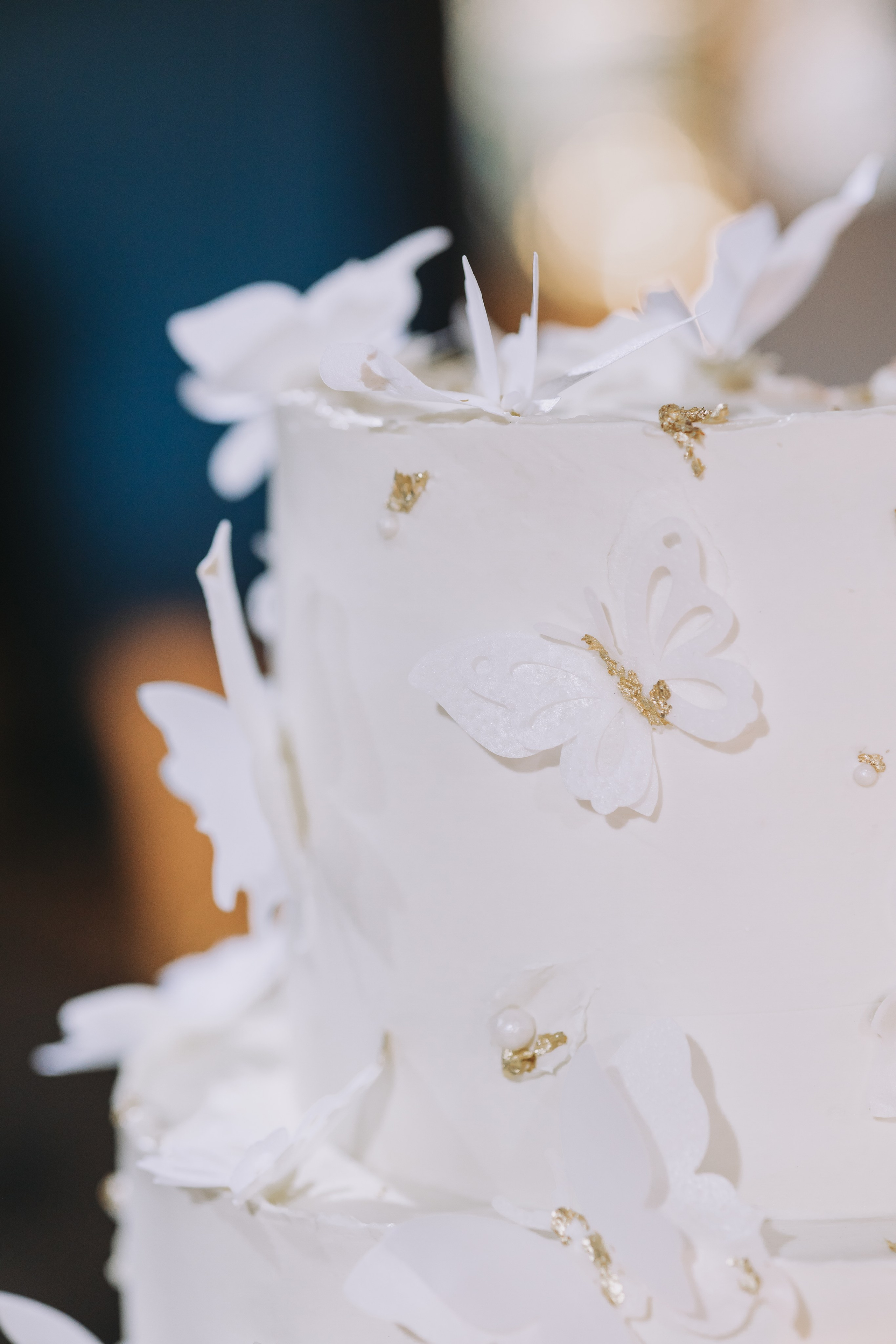 София и Петр. Репортажный фотограф Анастасия Головко