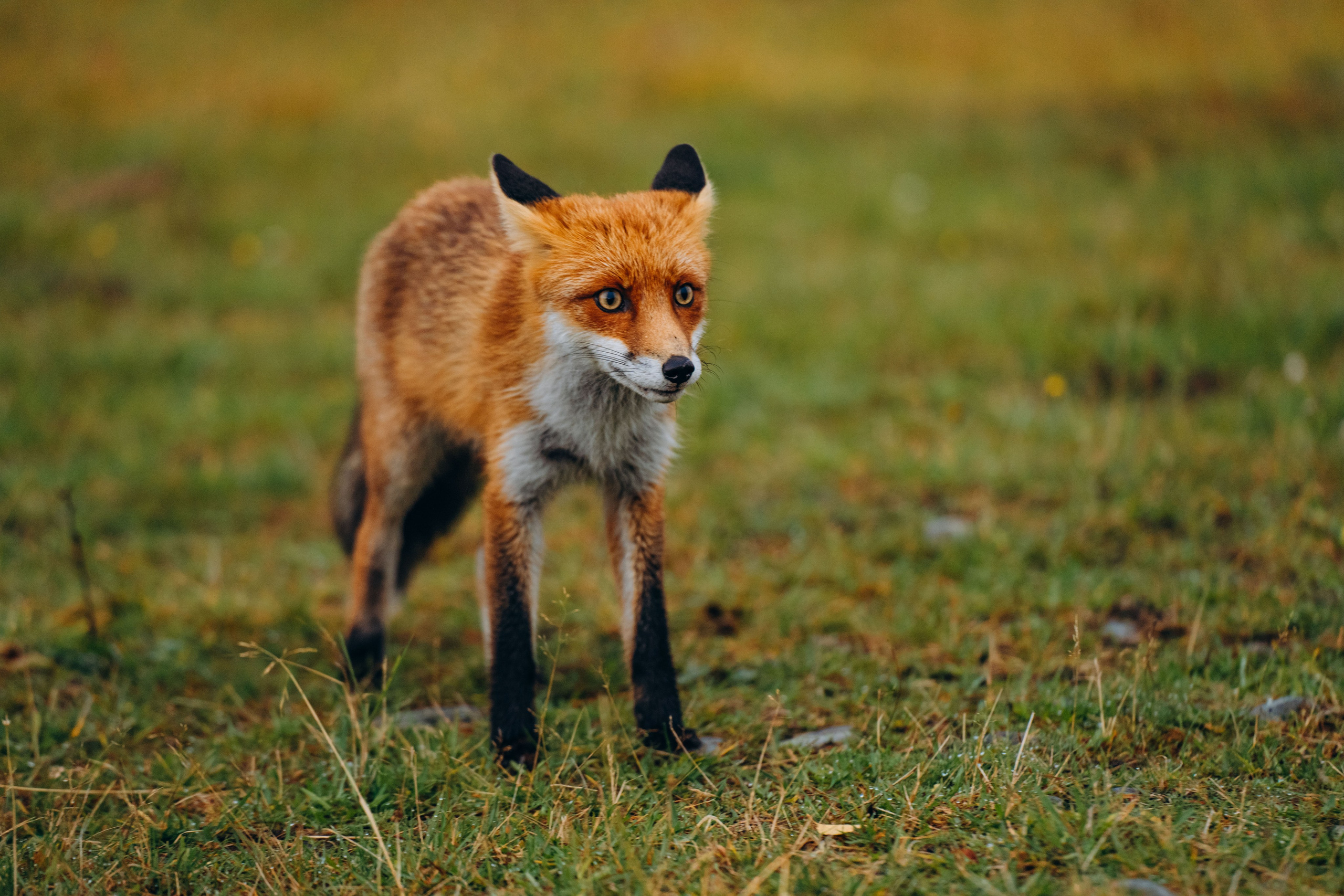 СЕВЕР. Event фотограф Степанова Александра