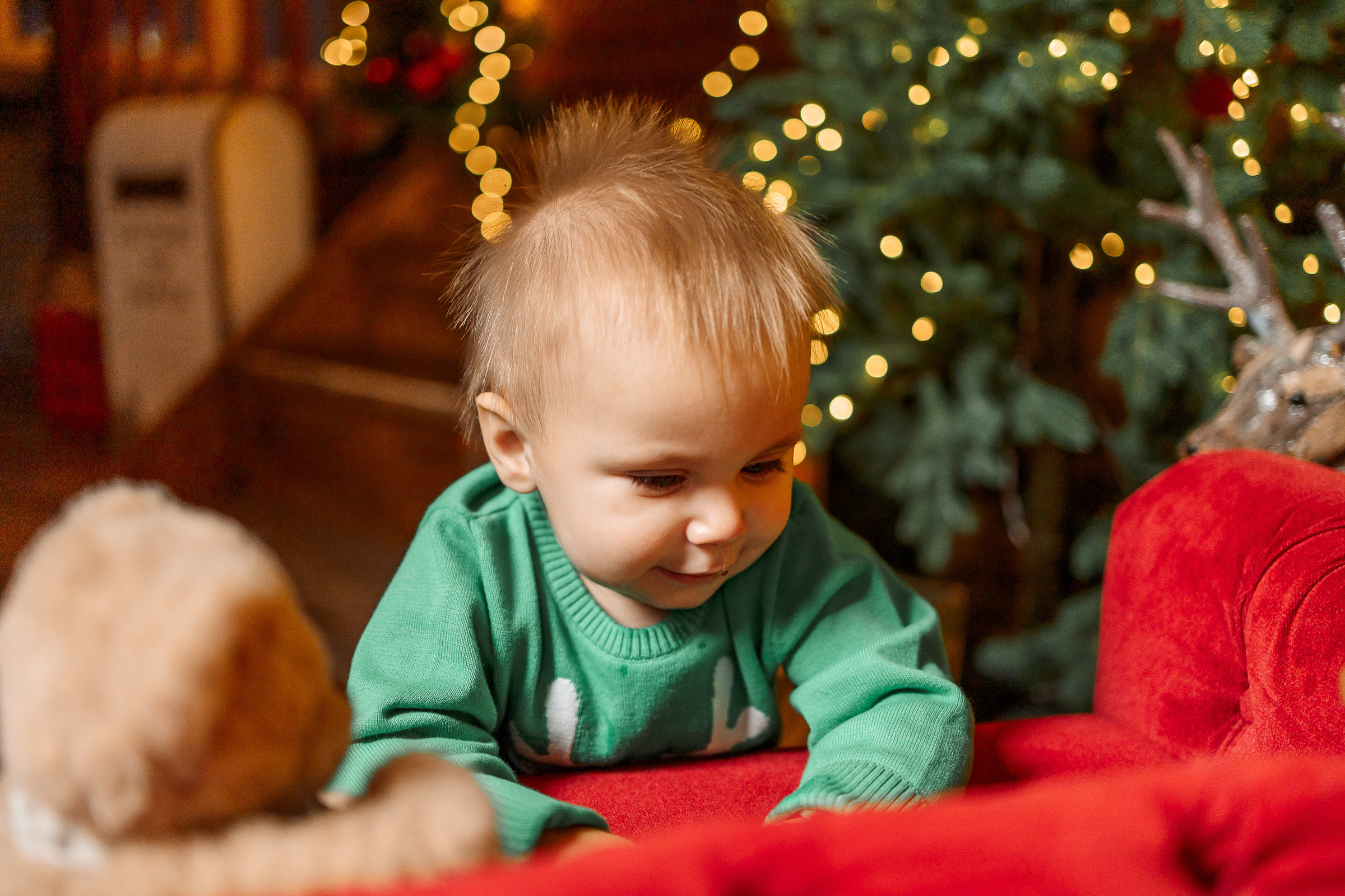 Татьяна Катя и Витя Новогоднее настроение. Семейный Фотограф в Москве Евгения Симоненко