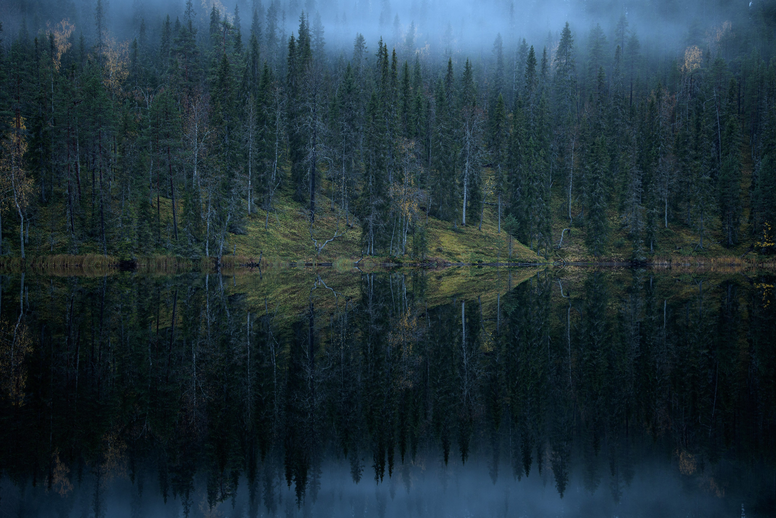 Березовый пруд. Северные Ночи