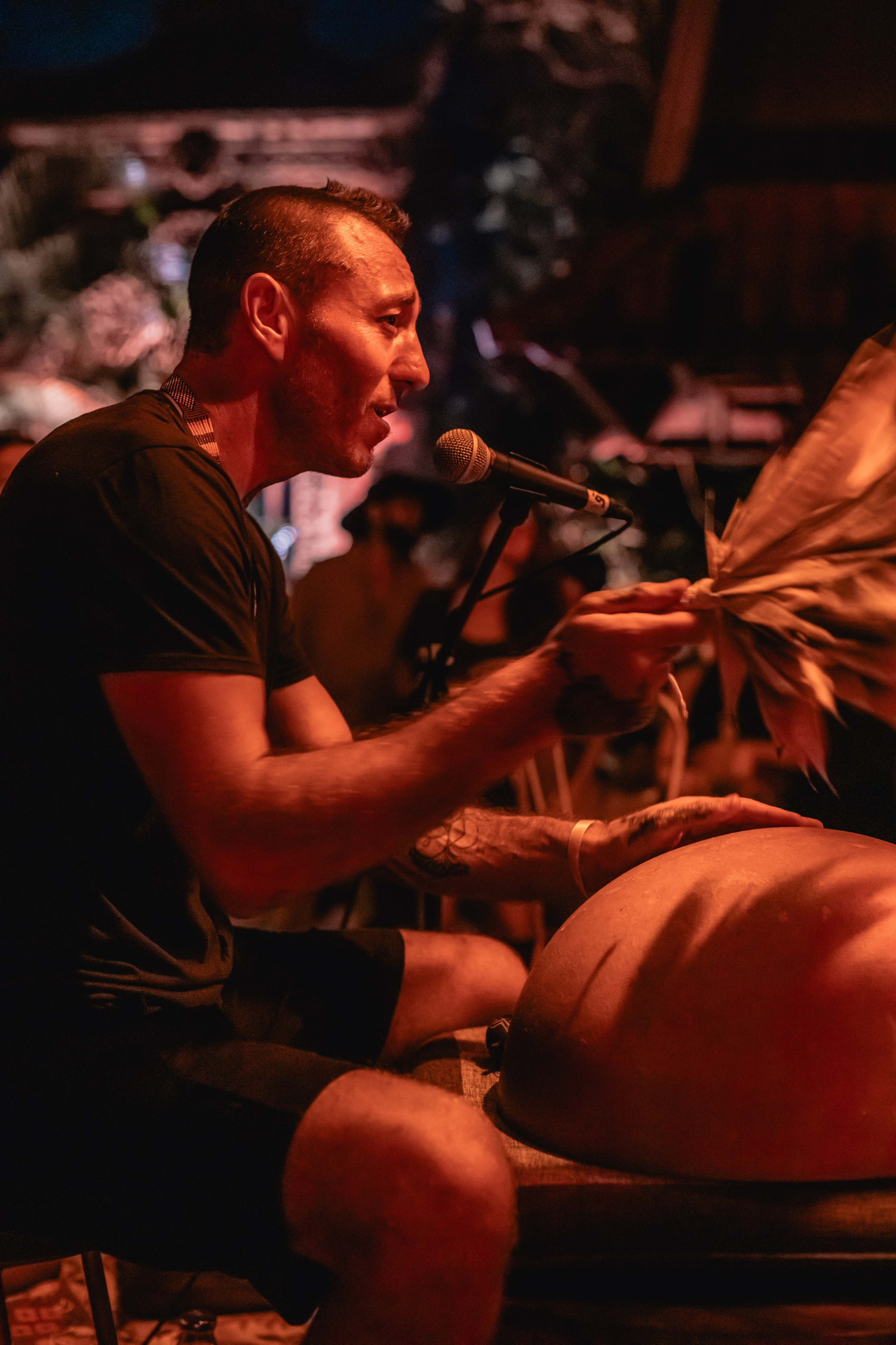 Alegria festival at Zest. Мариам Багдасарян