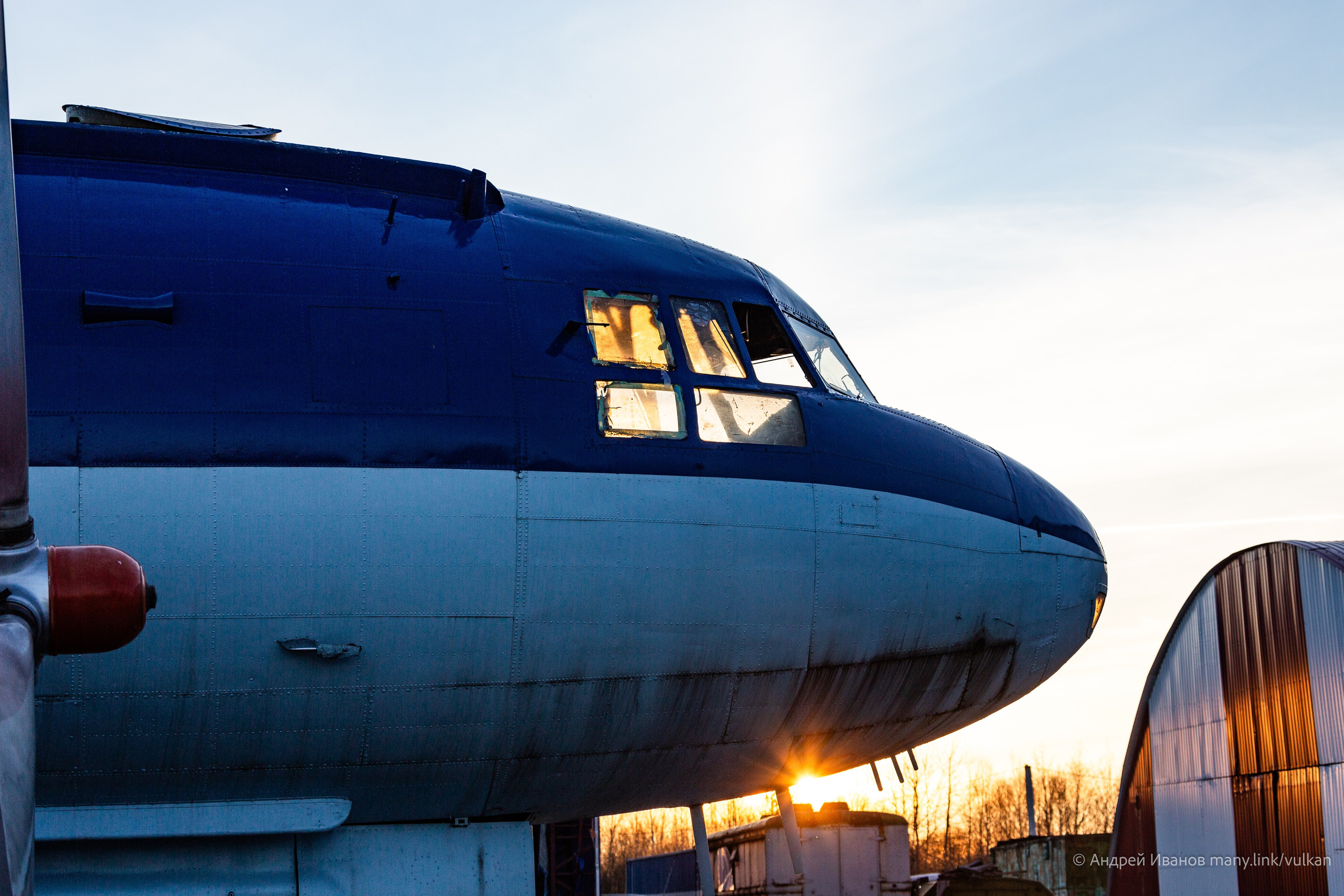 Ил-14Т «Голубая Мечта» (2026 г.). Фотоальбом показывающий увлекательный мир авиации и мир медведей Андрея Иванова