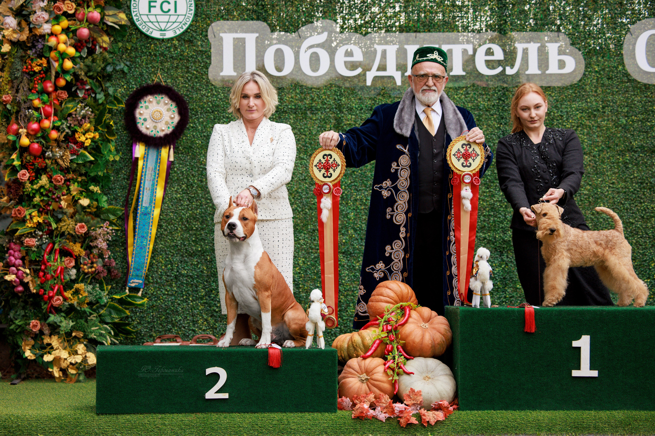 Бишкек 3х CACIB 26-28.09.2025. Фотограф-анималист Юлия Германика